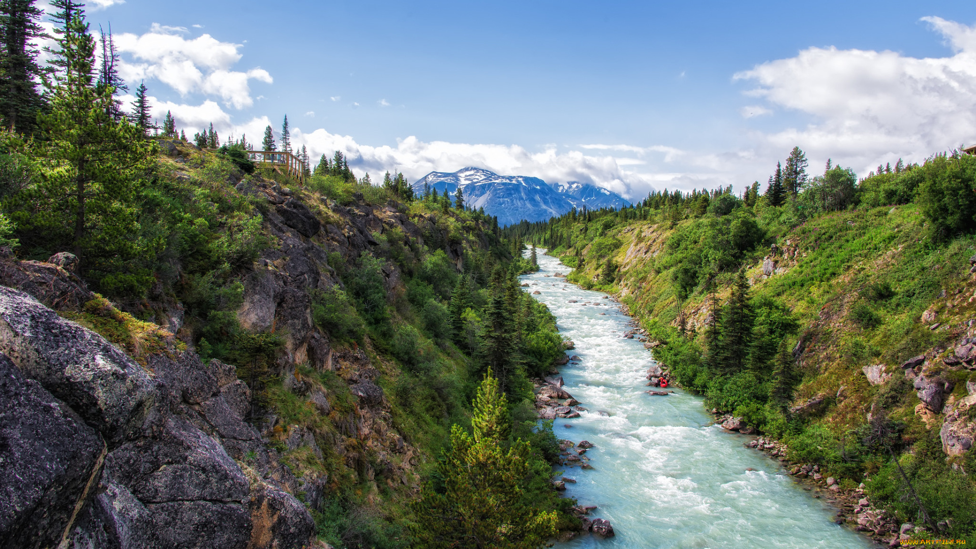 природа, реки, озера, лес, горы, река