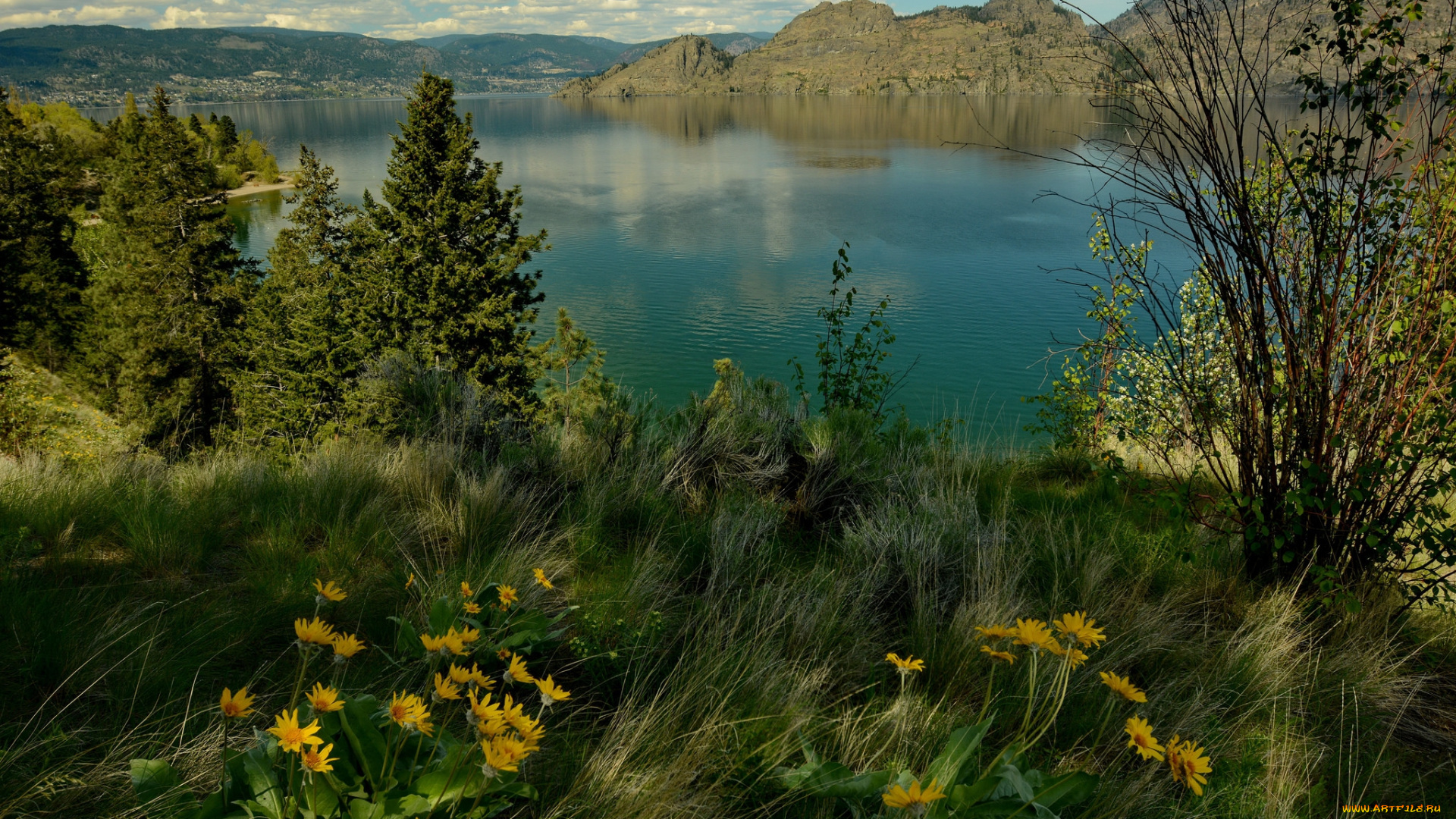 природа, реки, озера, река, лес, горы