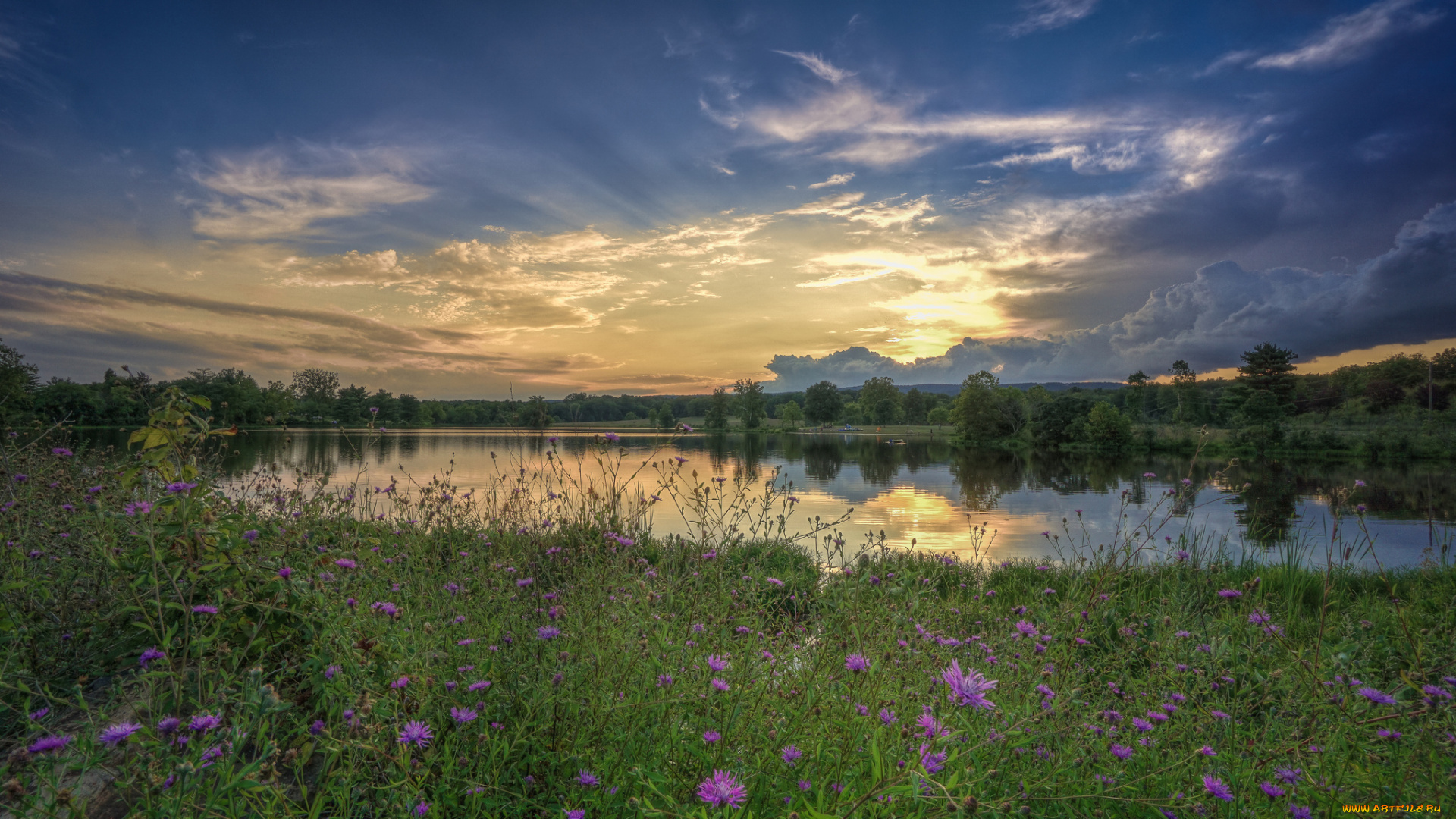природа, восходы, закаты, тучи, луг, река, лес, свет