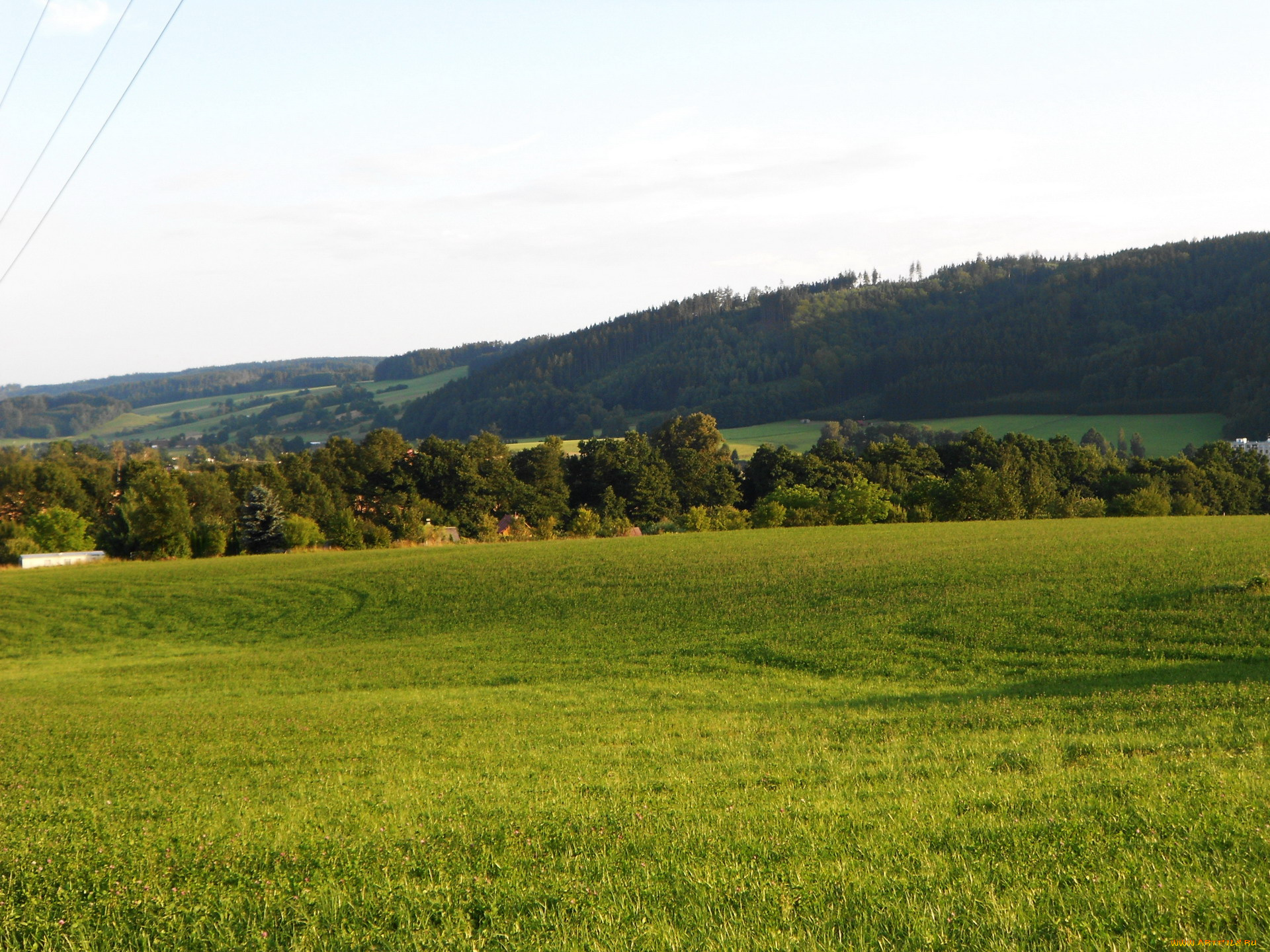 природа, луга, трава, деревья