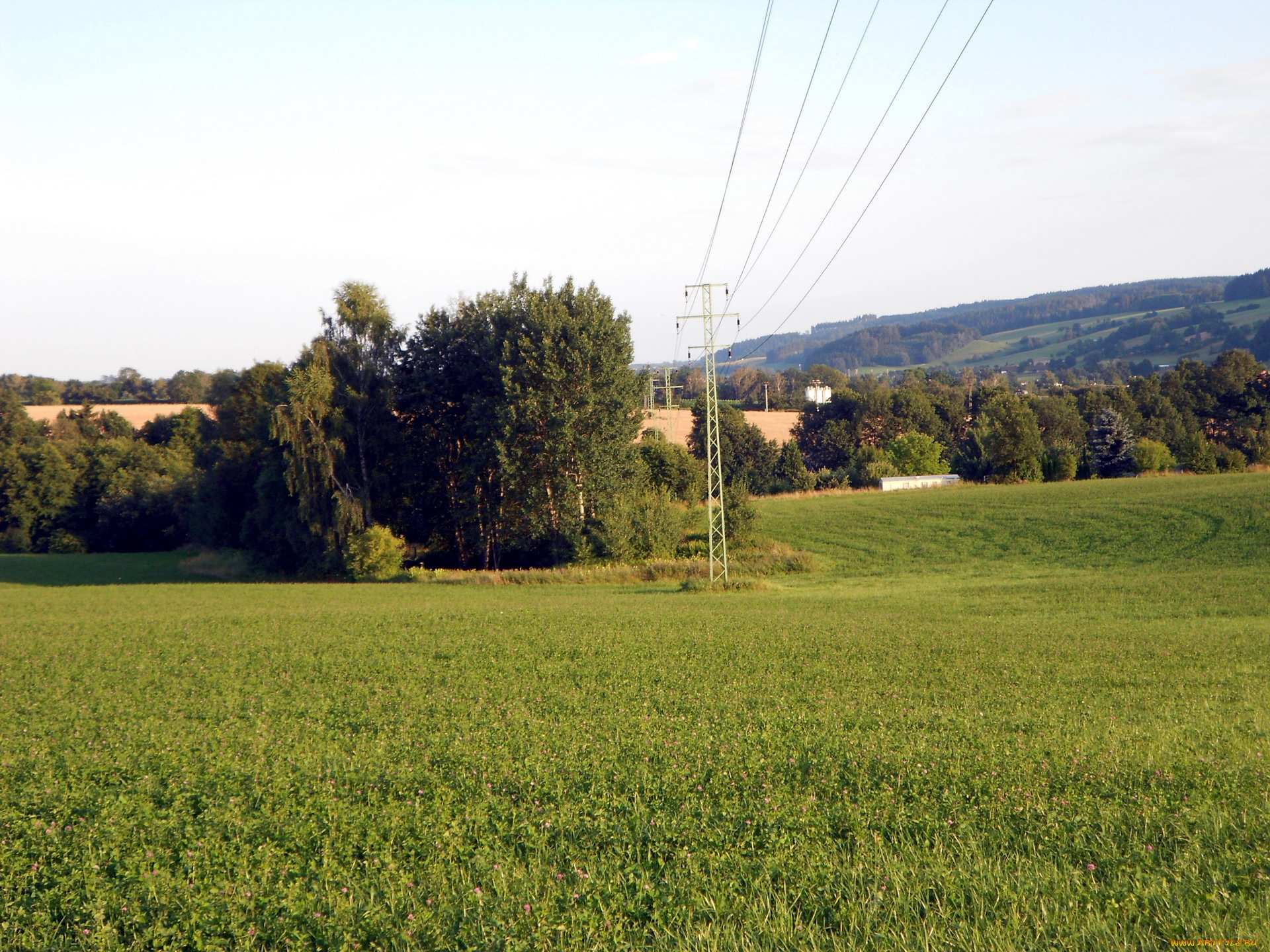 природа, луга, трава, деревья