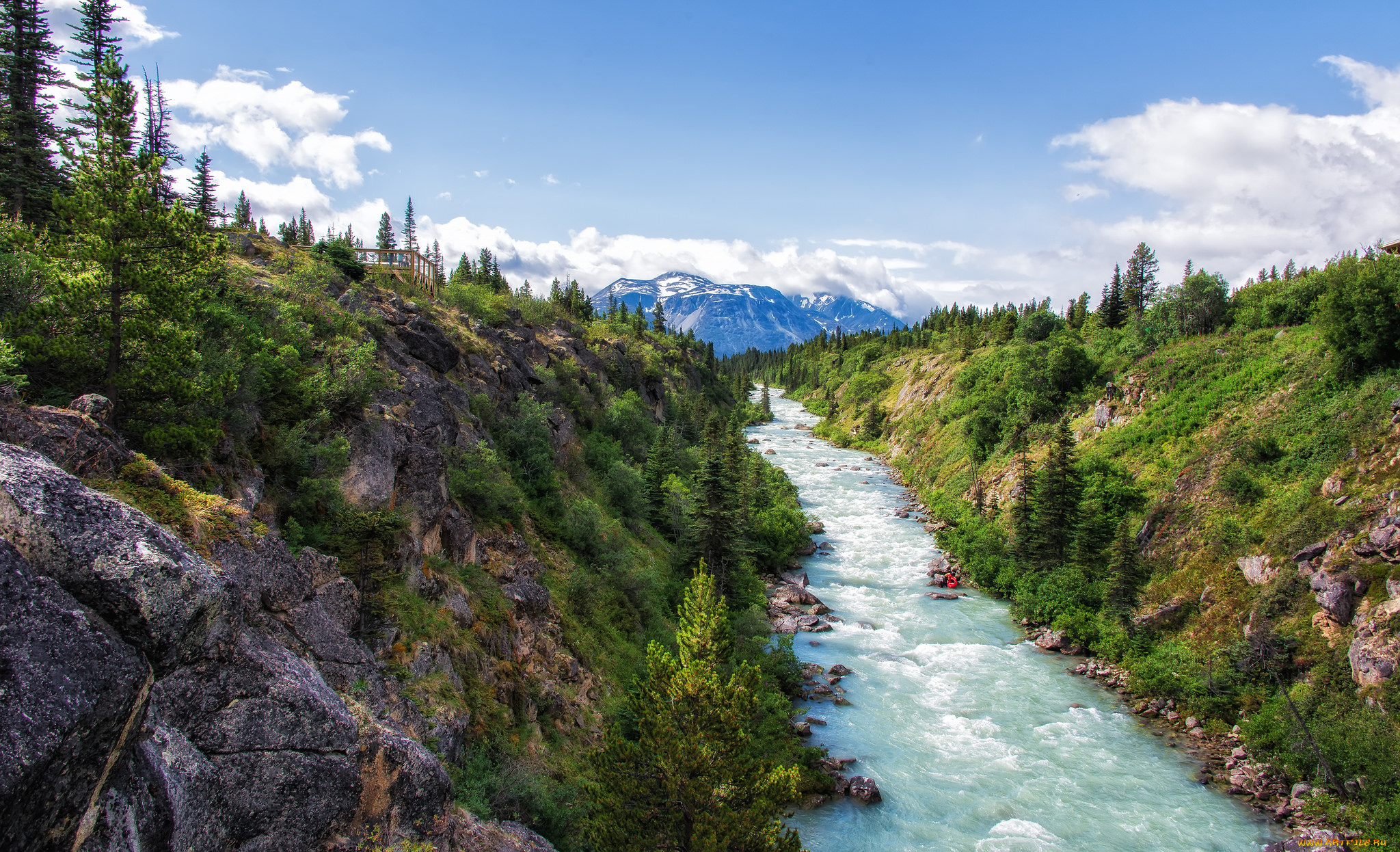 природа, реки, озера, лес, горы, река