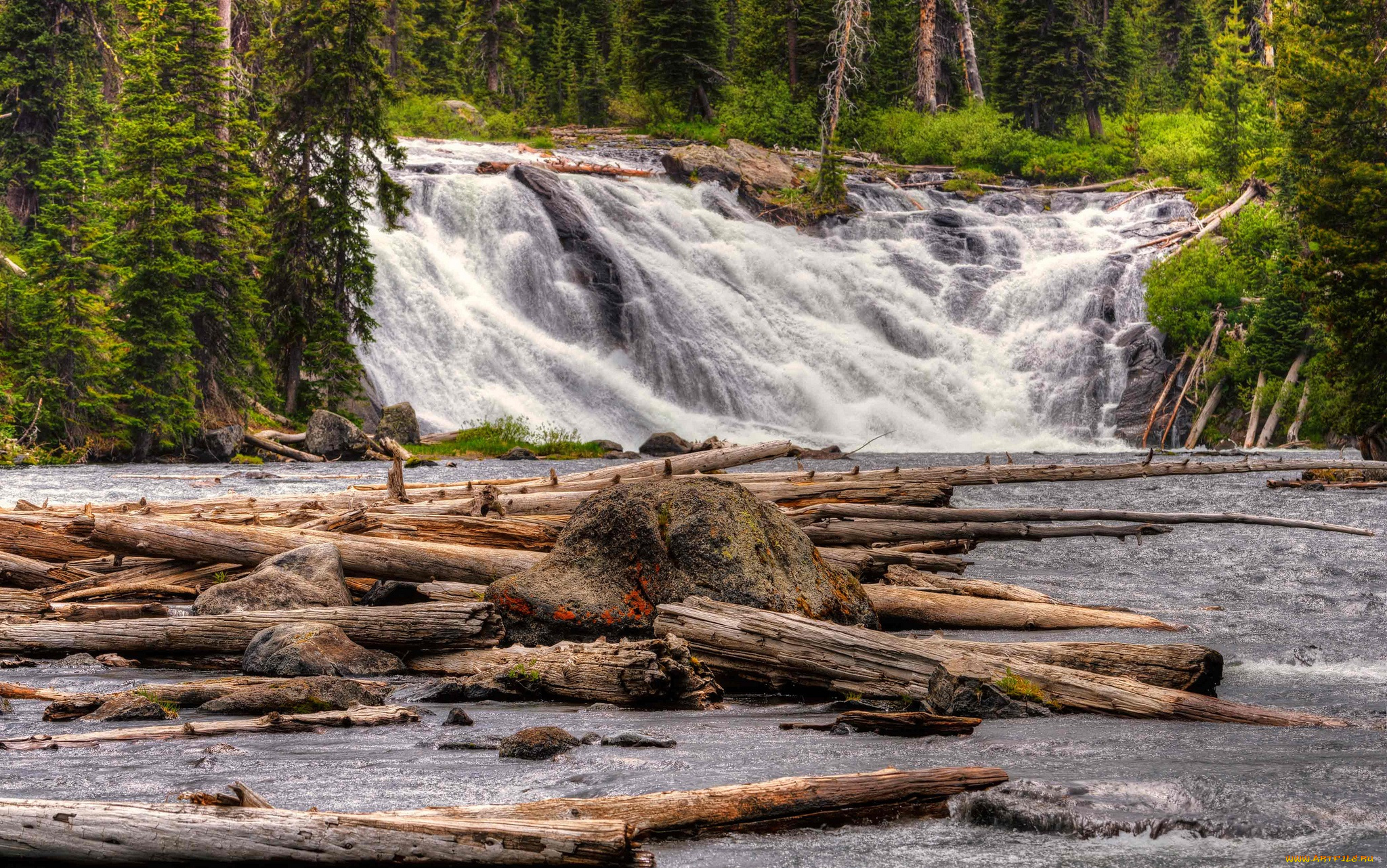 природа, водопады, лес, река, водопад