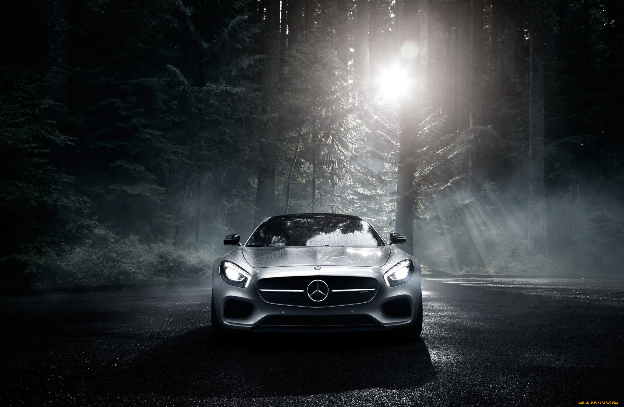 автомобили, mercedes-benz, gt, s, color, amg, silver, 2016, sun, dark, forest, front