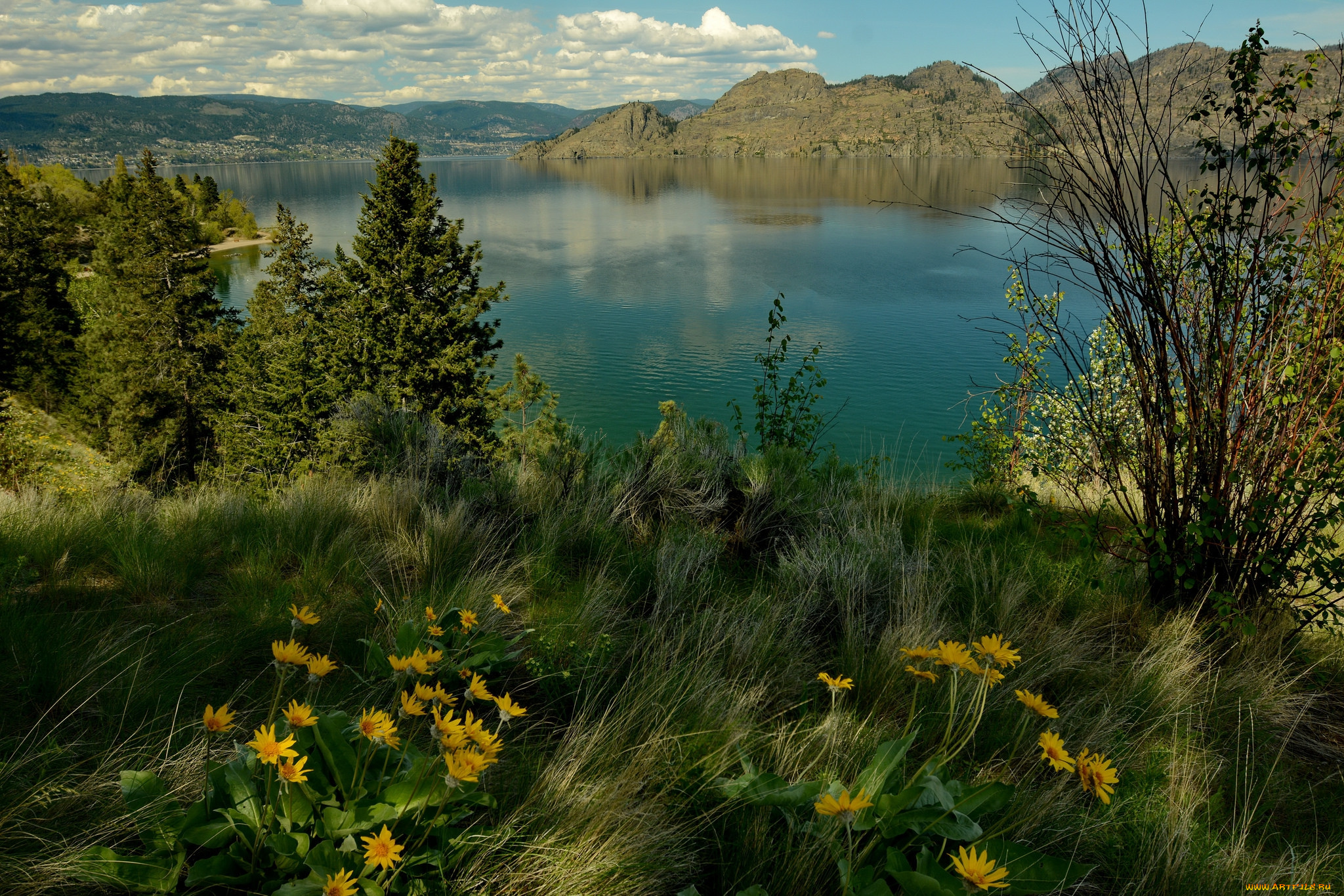 природа, реки, озера, река, лес, горы