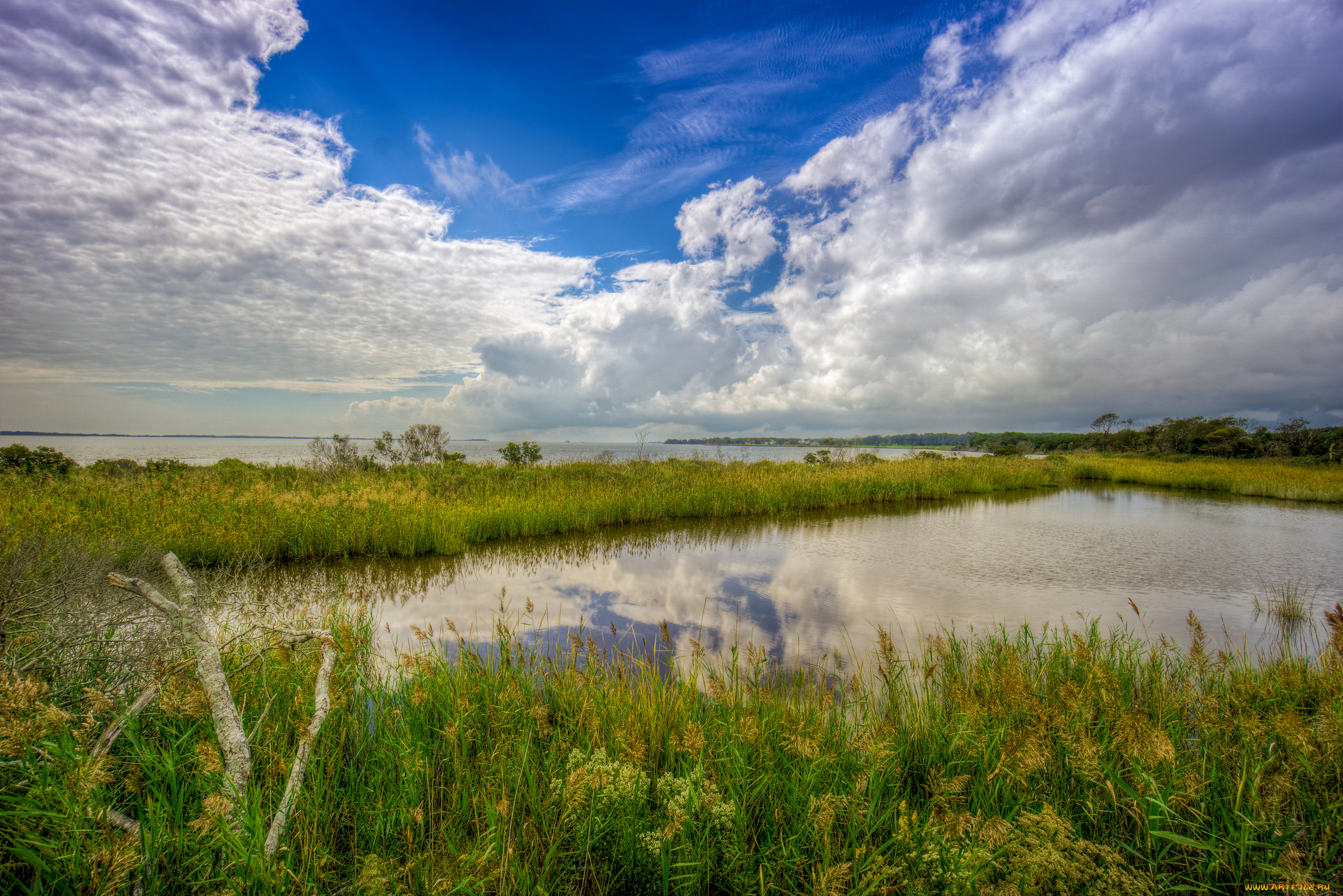 природа, реки, озера, облака, простор, река