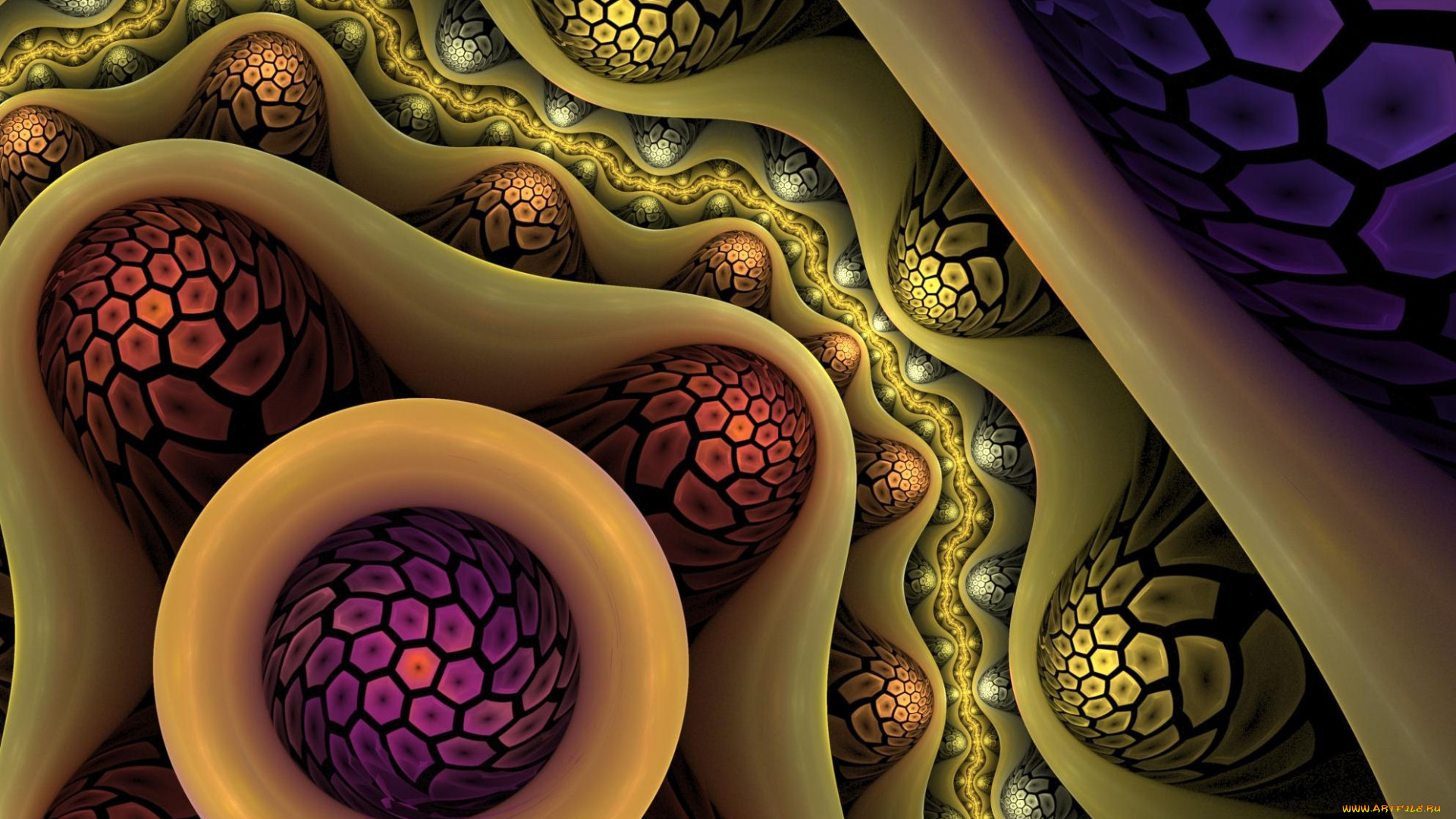 3д, графика, фракталы, , fractal, узор, фон, цвета