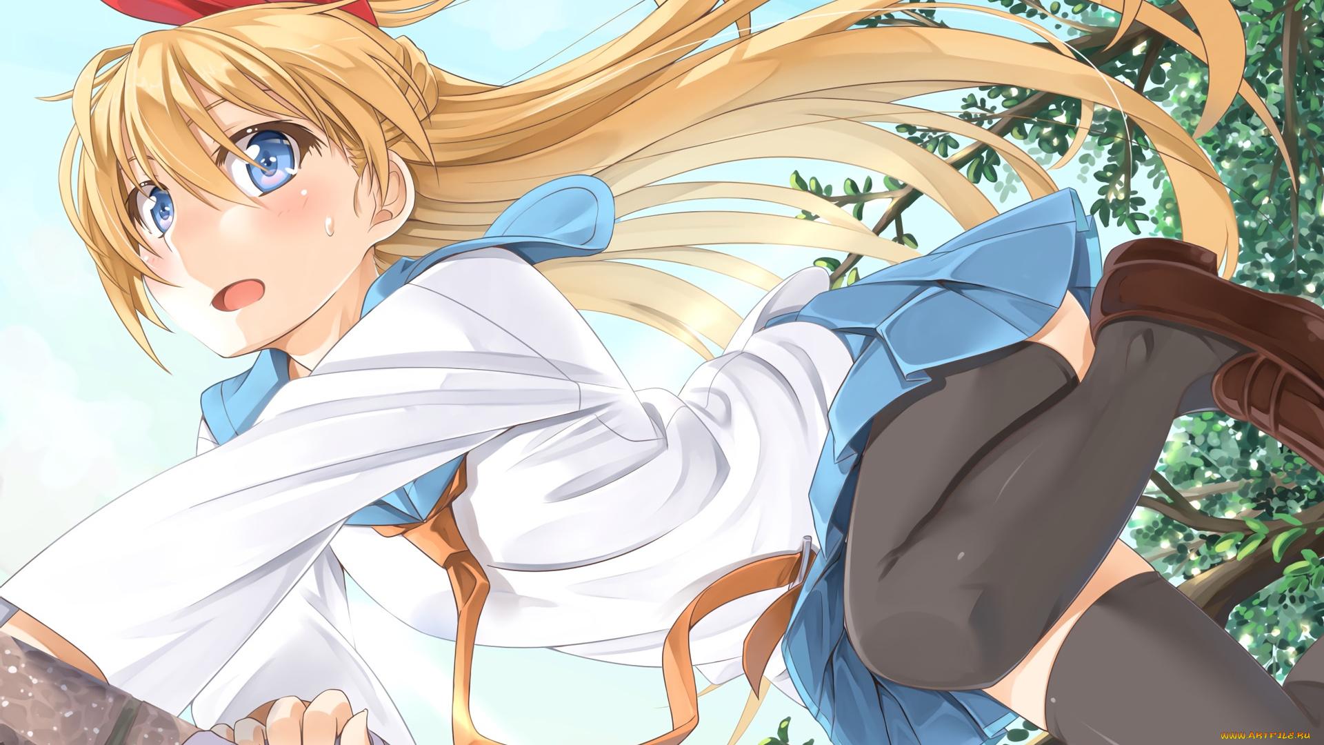 аниме, nisekoi, фон, взгляд, девушка