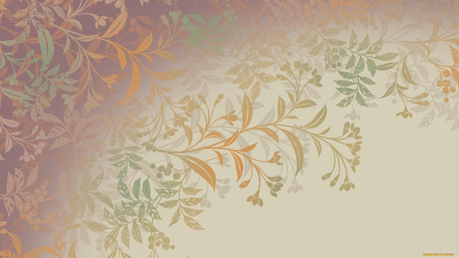 векторная, графика, графика, , graphics, узор, цвета, фон