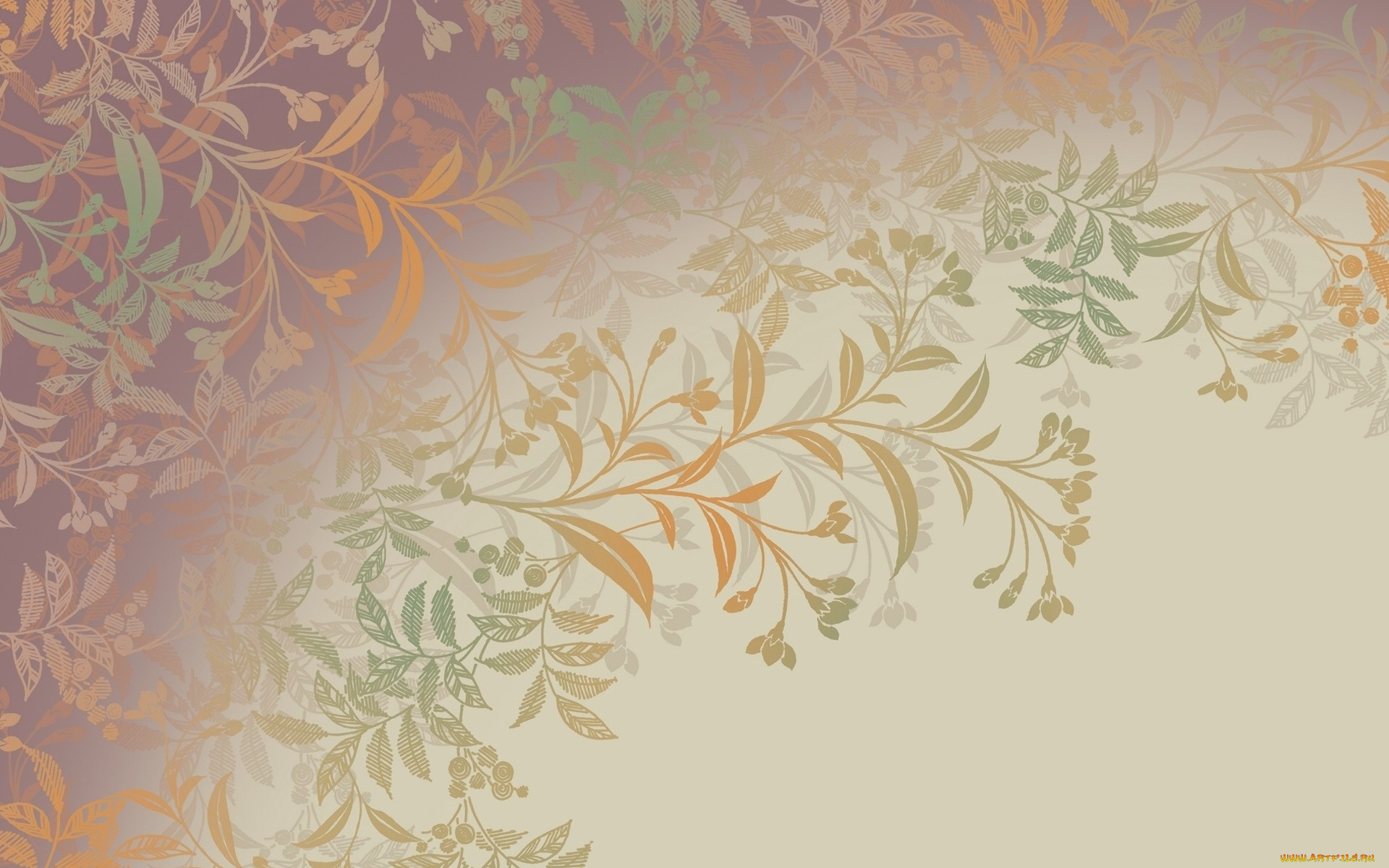 векторная, графика, графика, , graphics, узор, цвета, фон