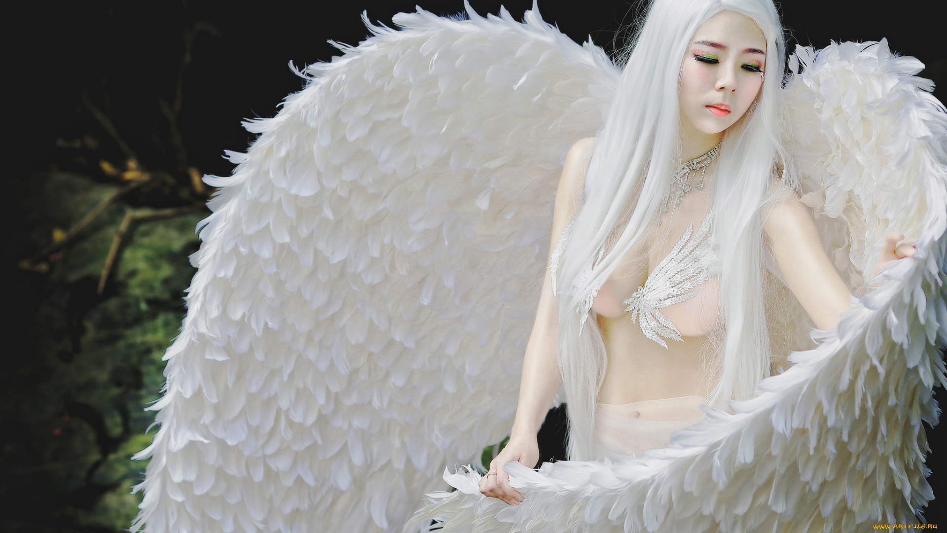 девушки, -unsort, , креатив, азиатка, крылья, перья, макияж, лебёдушка, девушка, стиль