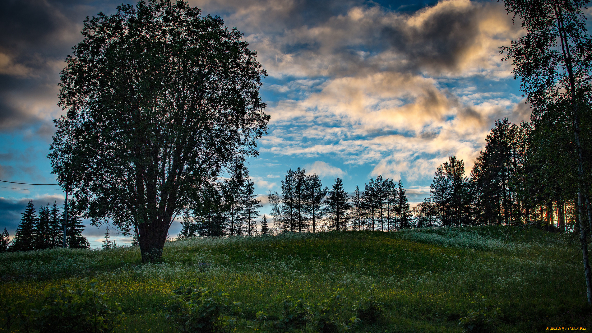 природа, пейзажи, простор