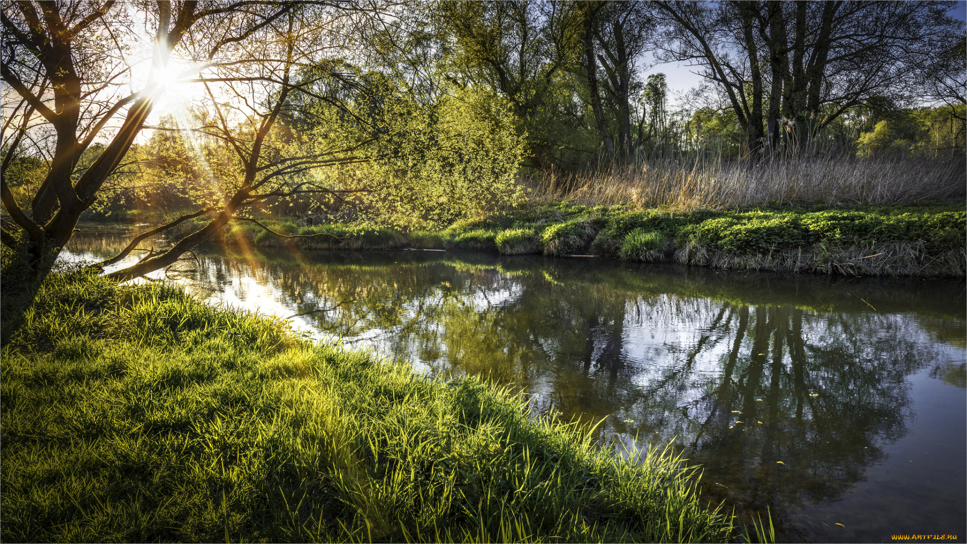 природа, реки, озера, река, лес