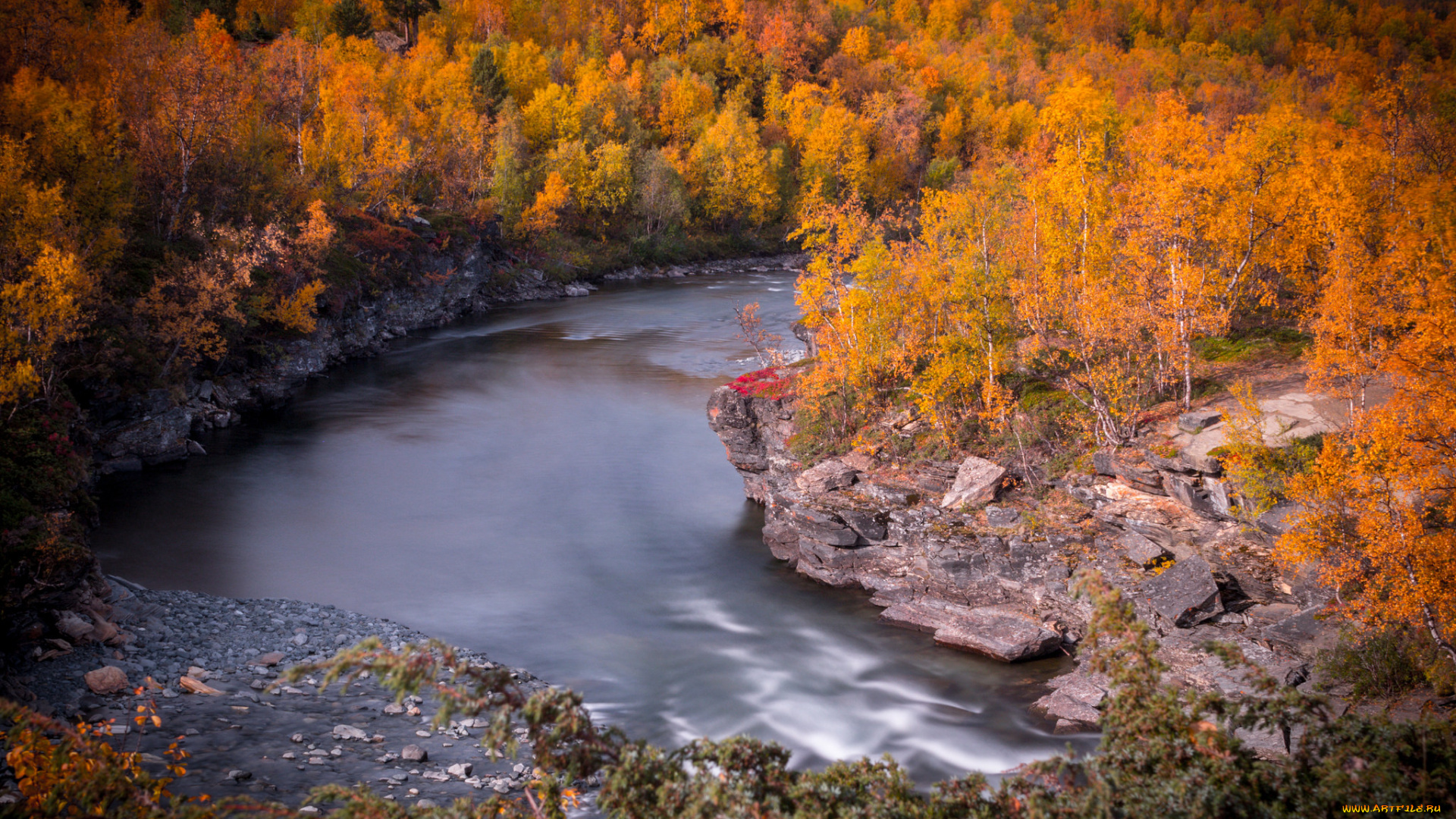 природа, реки, озера, река, лес