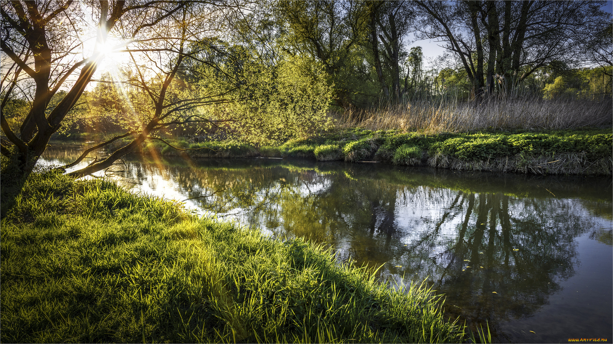 природа, реки, озера, река, лес