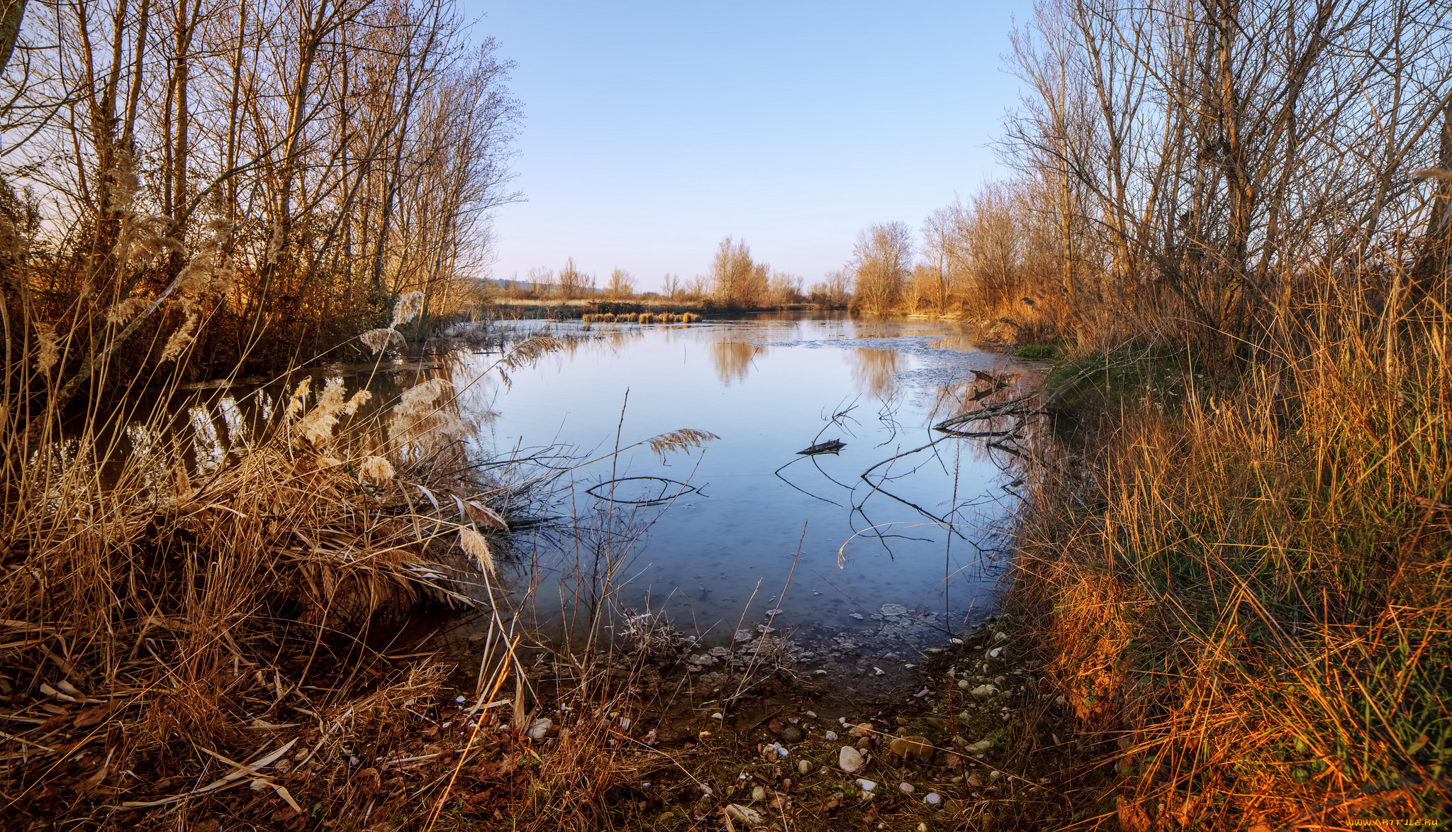 природа, реки, озера, река, лес