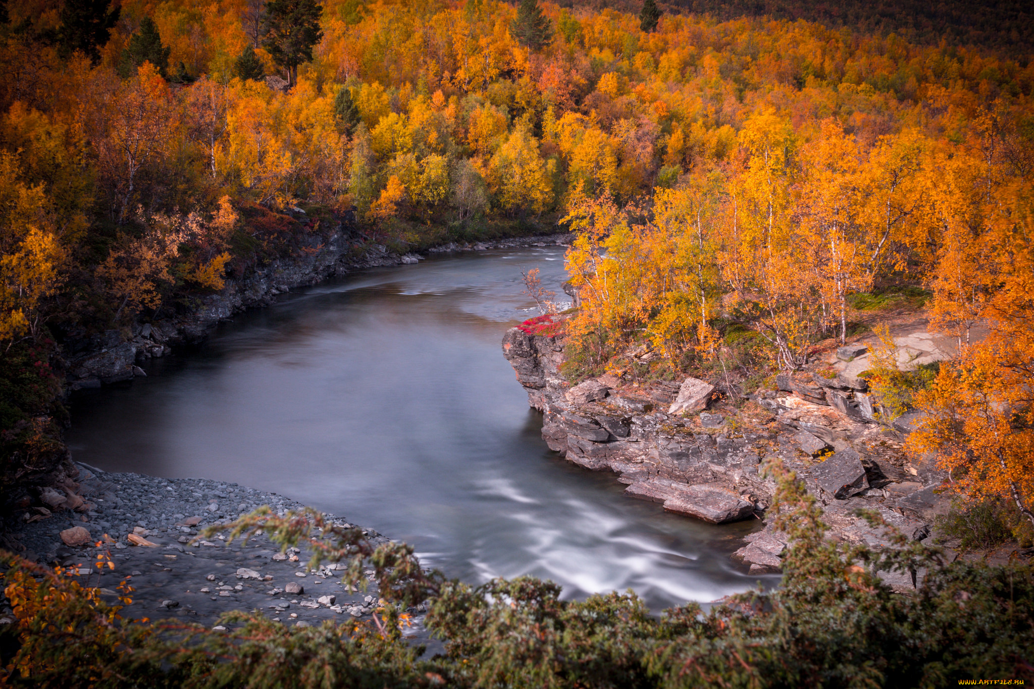 природа, реки, озера, река, лес