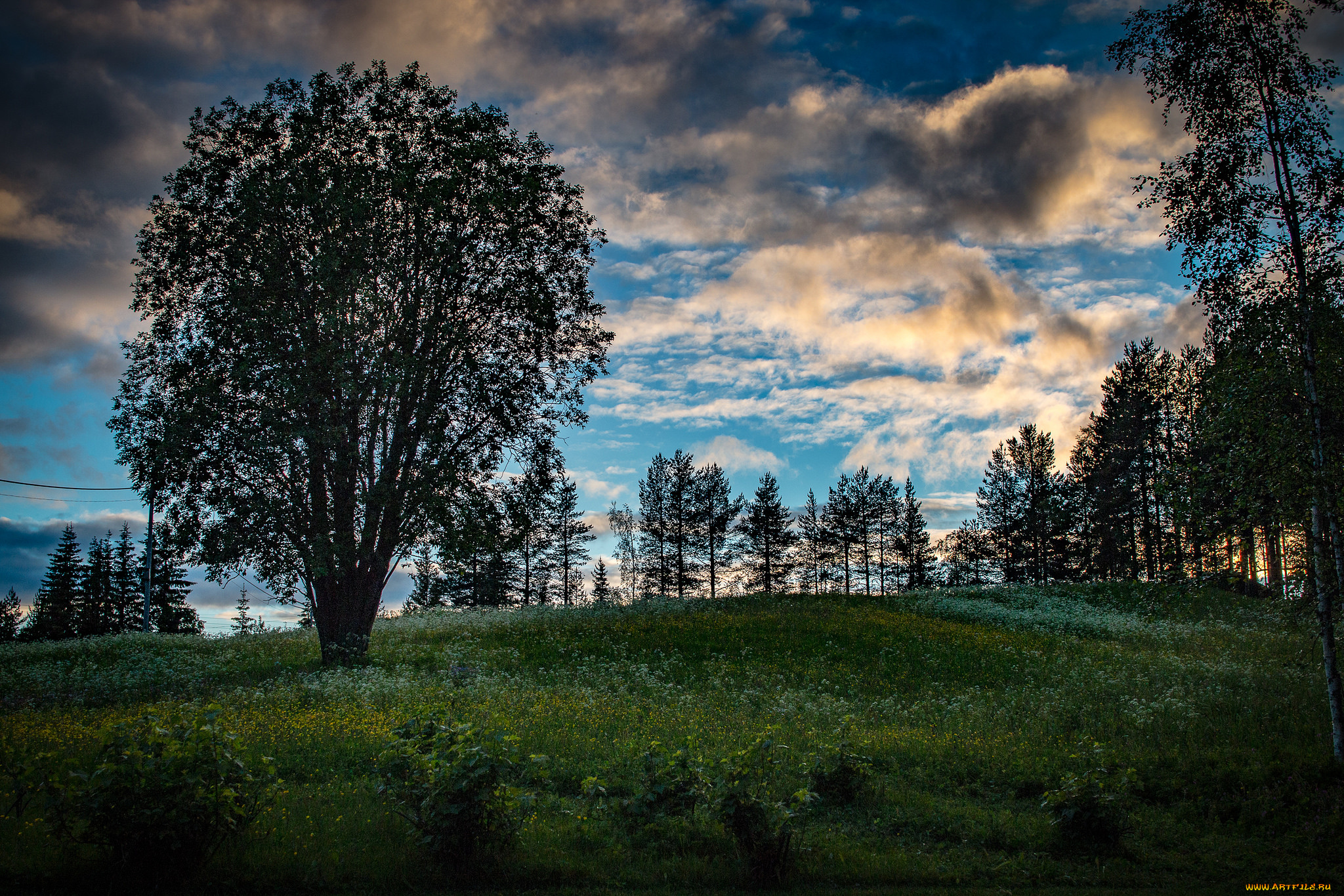 природа, пейзажи, простор