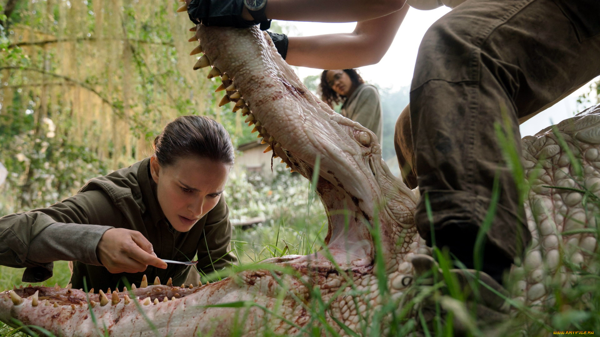 annihilation, кино, фильмы