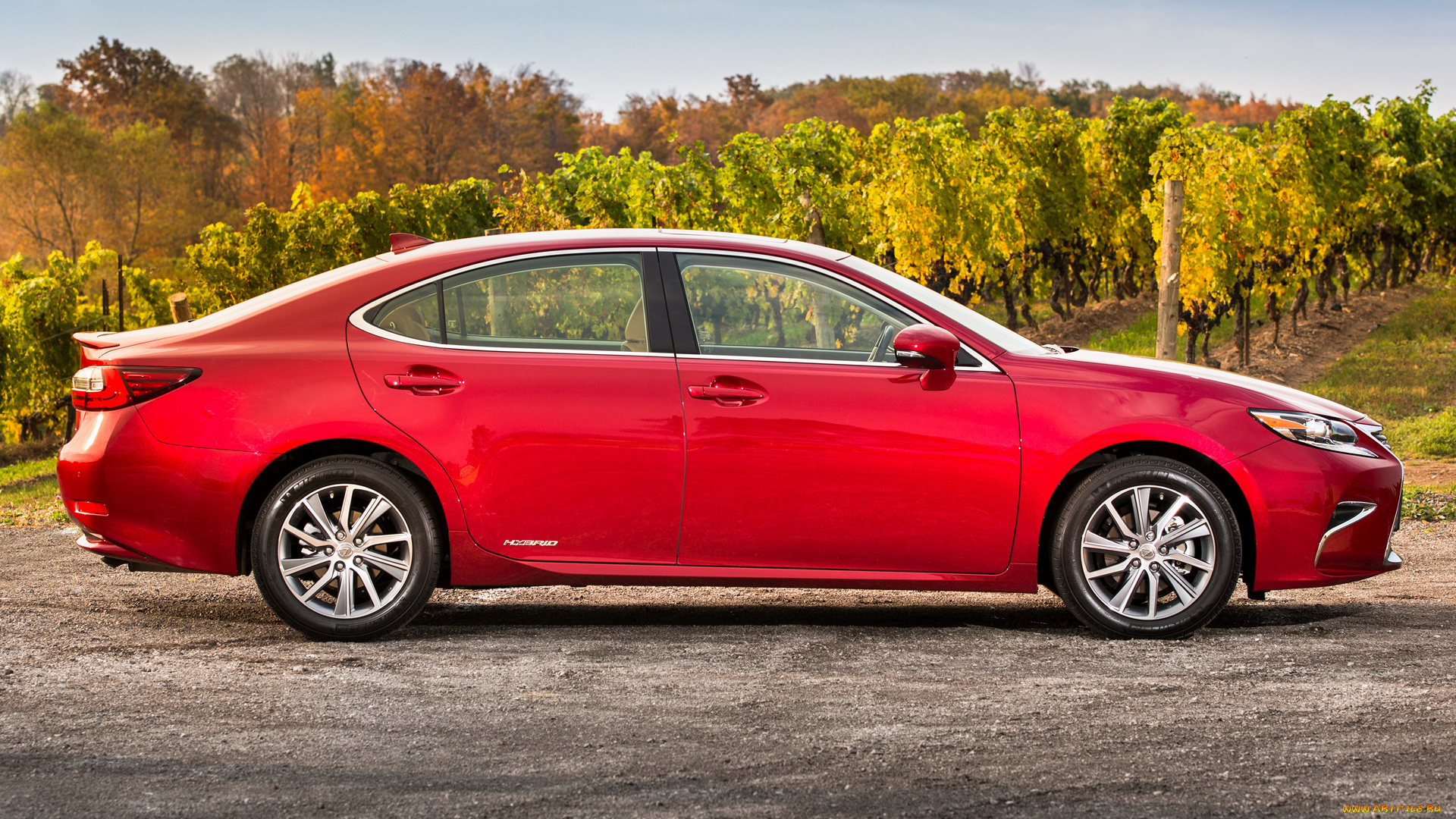 автомобили, lexus