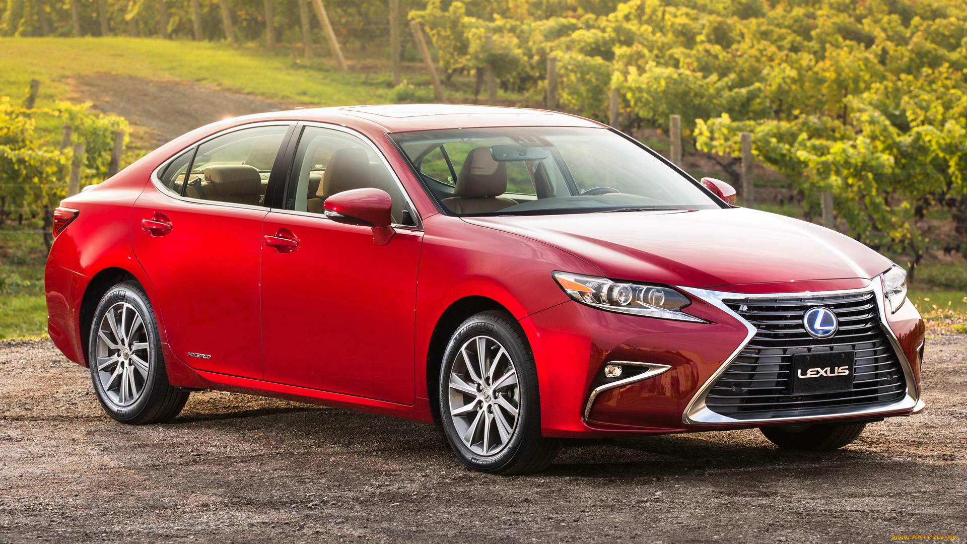 автомобили, lexus