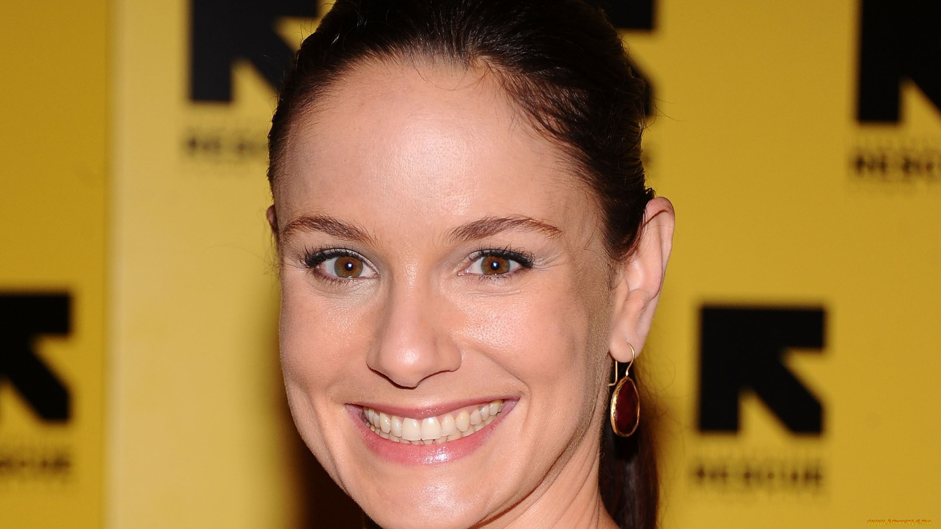 девушки, sarah, wayne, callies, актриса, серьги, улыбка, лицо