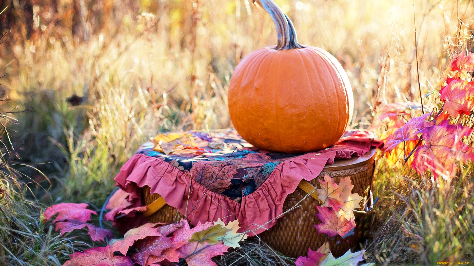 еда, тыква, натюрморт, тыаква