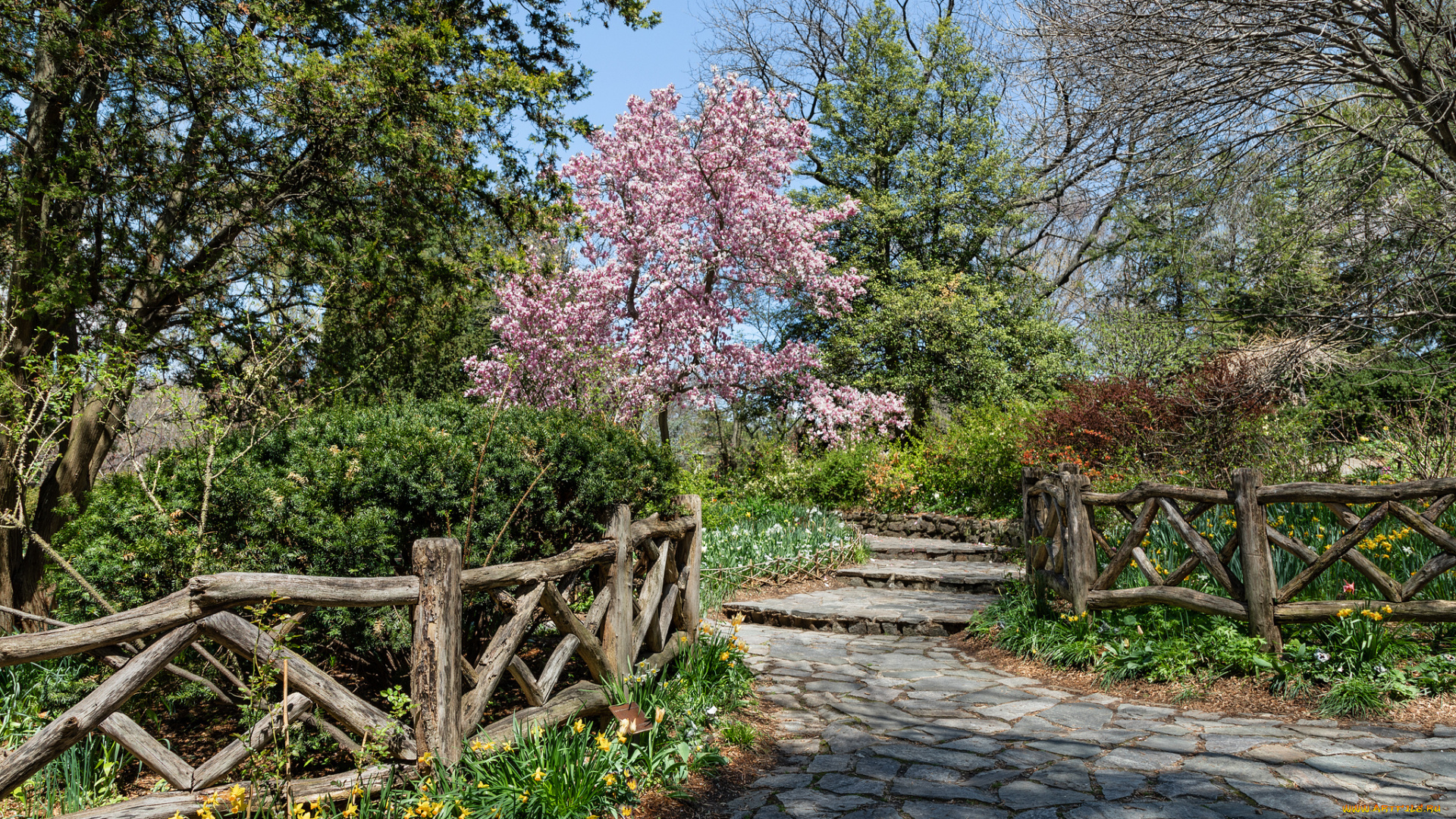 природа, дороги, простор