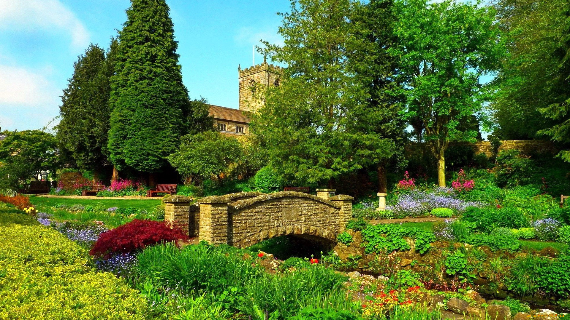 природа, парк, весна, мостик