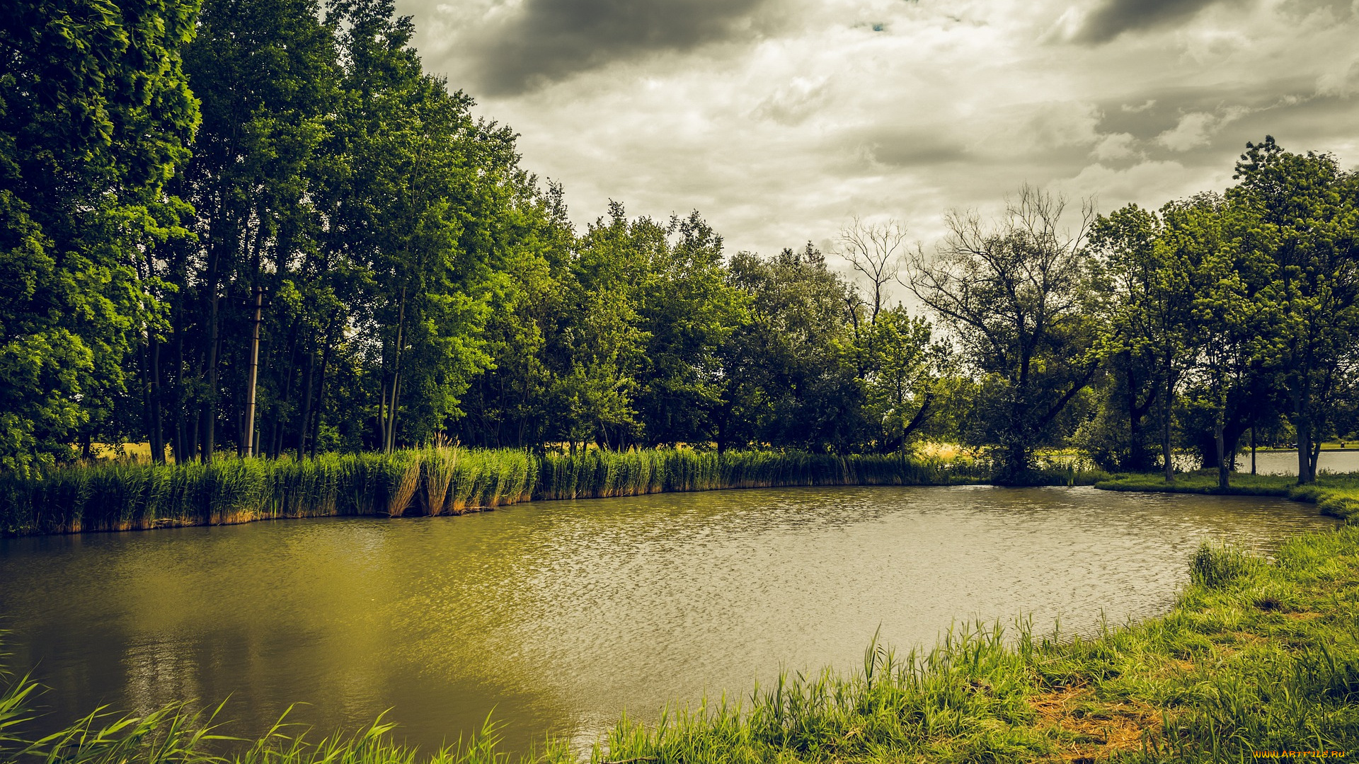 природа, реки, озера, лес, вода, озеро