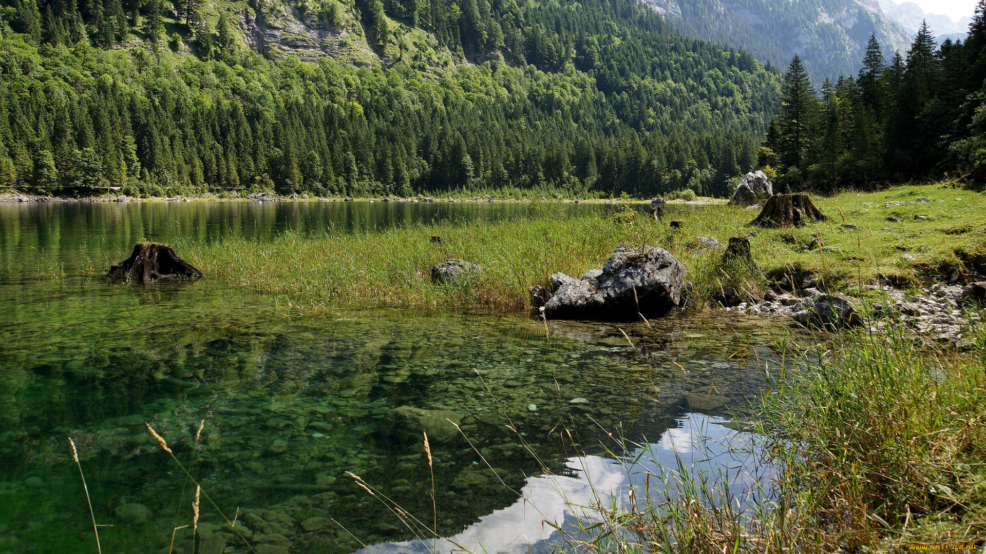 природа, реки, озера, простор