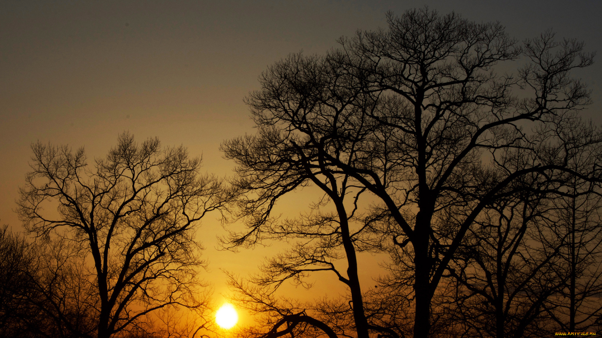 природа, восходы, закаты, простор