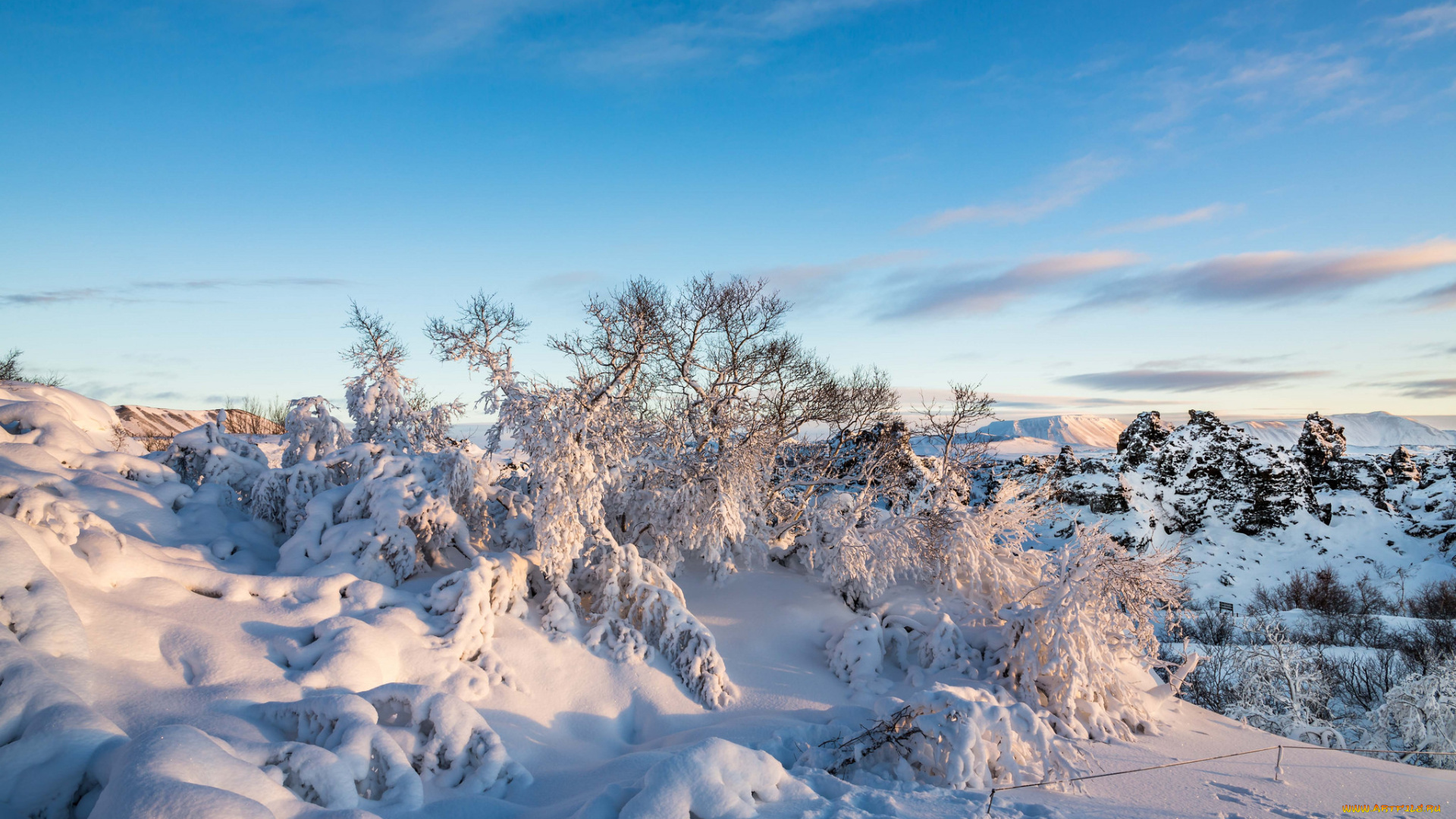 природа, зима, простор
