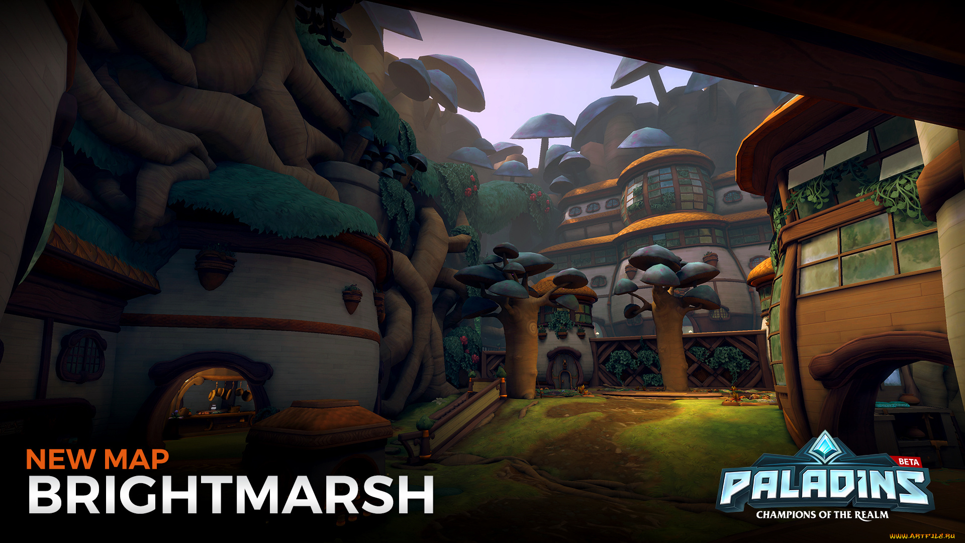 видео, игры, paladins