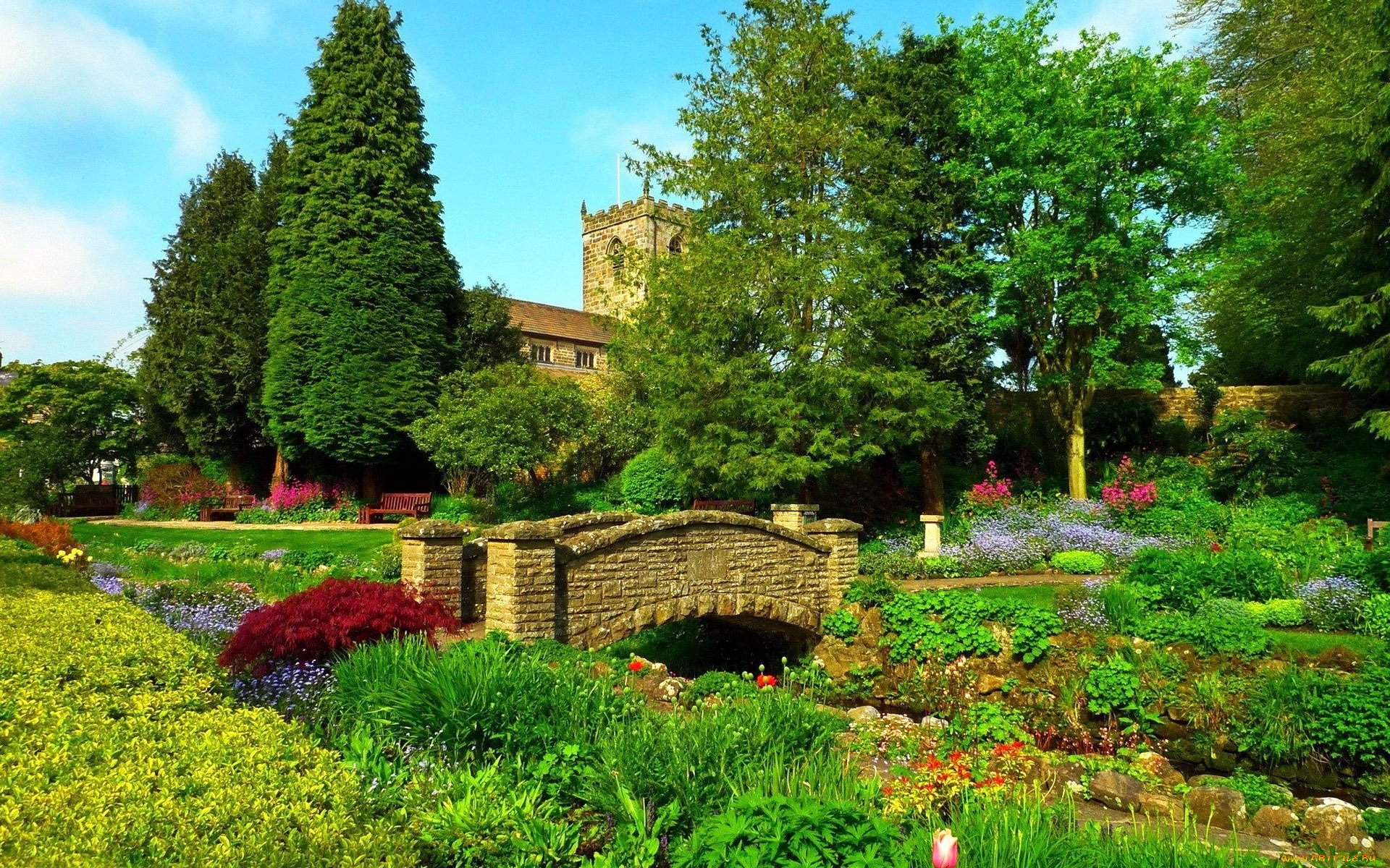 природа, парк, весна, мостик