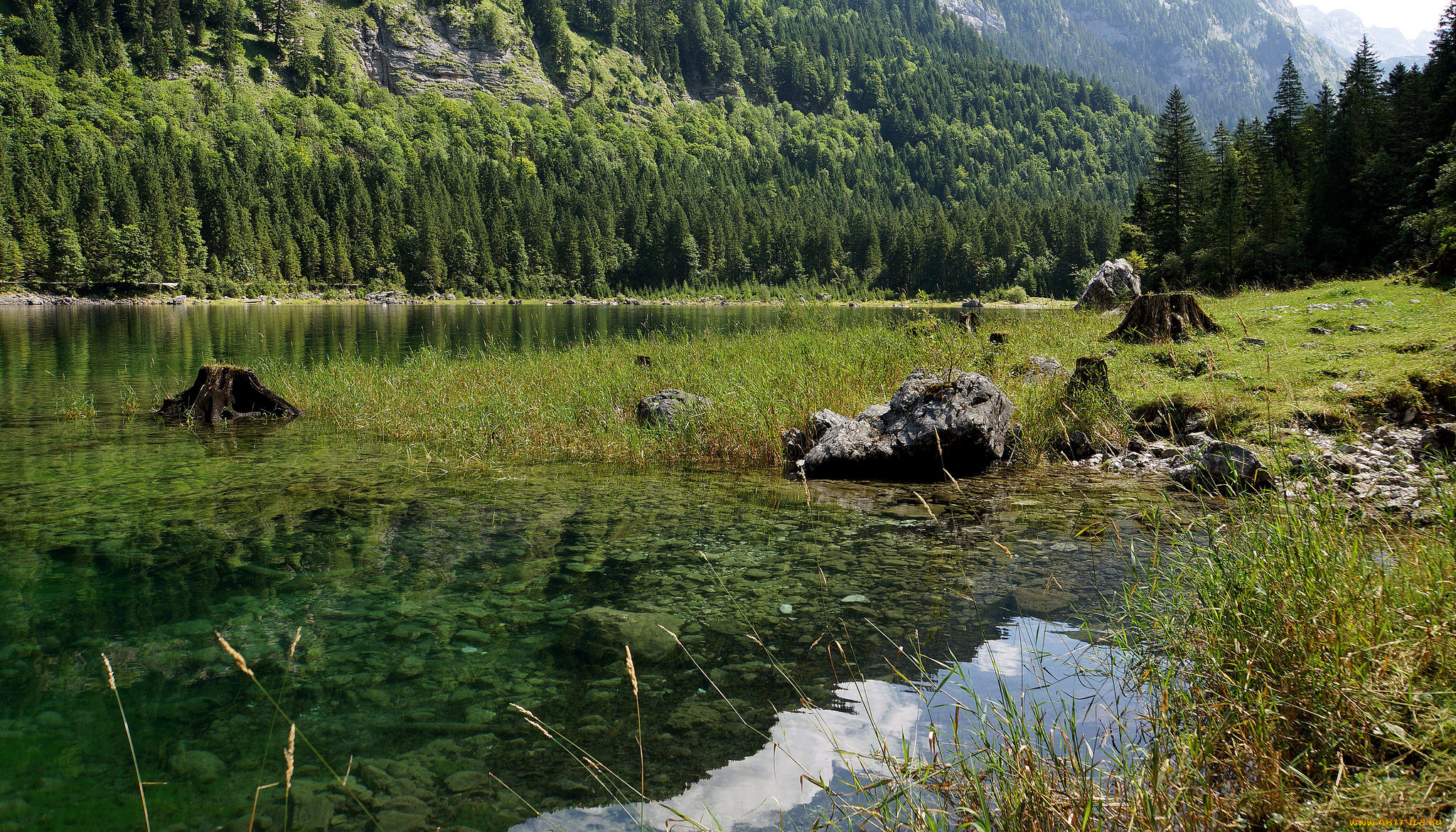 природа, реки, озера, простор