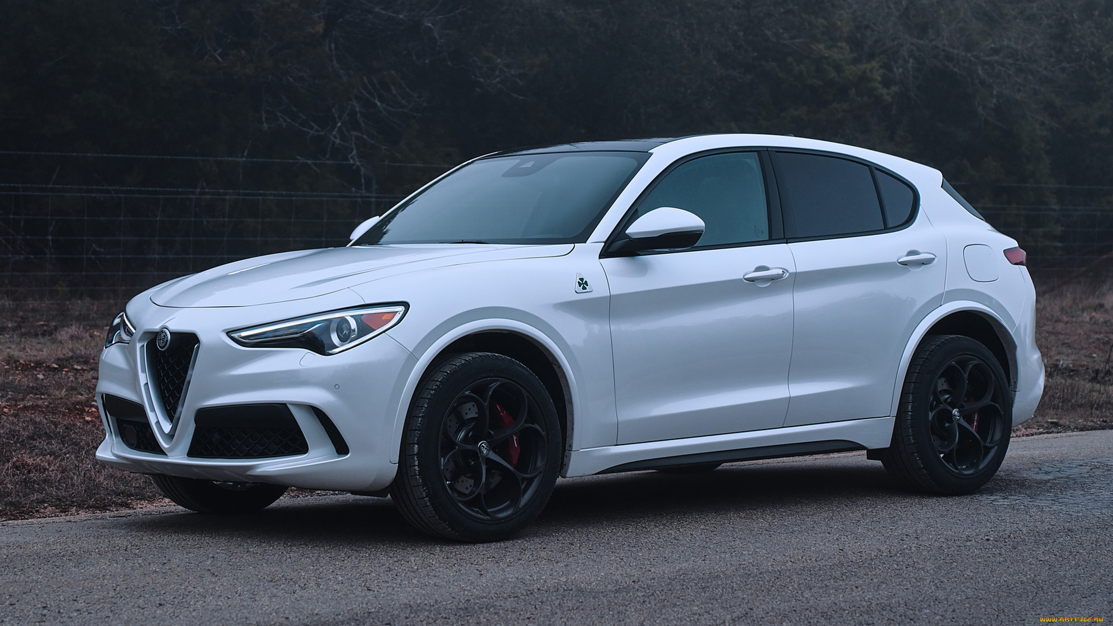 alfa, romeo, stelvio, quadrifoglio, 2018, автомобили, alfa, romeo, 2018, белый, quadrifoglio, stelvio, alfa, romeo