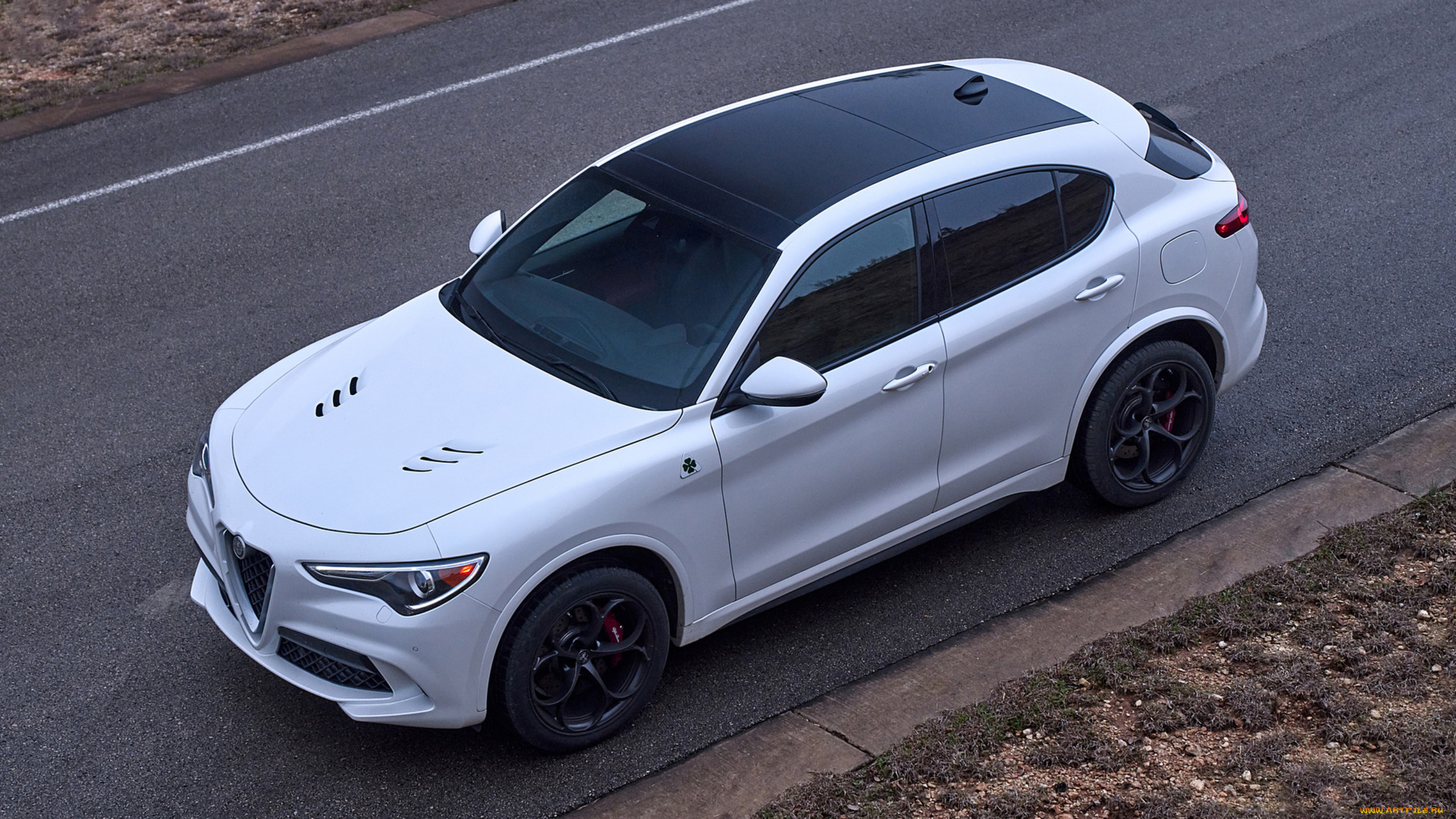 alfa, romeo, stelvio, quadrifoglio, 2018, автомобили, alfa, romeo, белый, 2018, alfa, romeo, stelvio, quadrifoglio