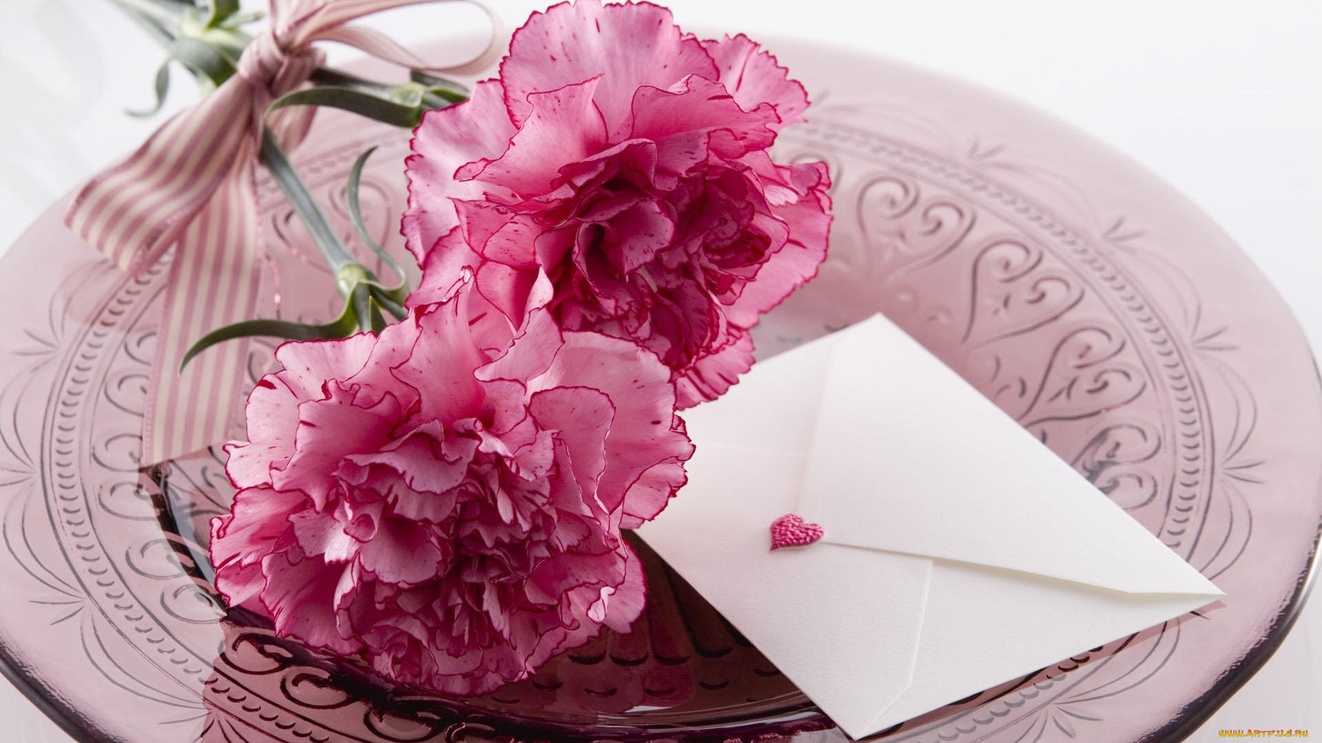 цветы, гвоздики, конверт, бант