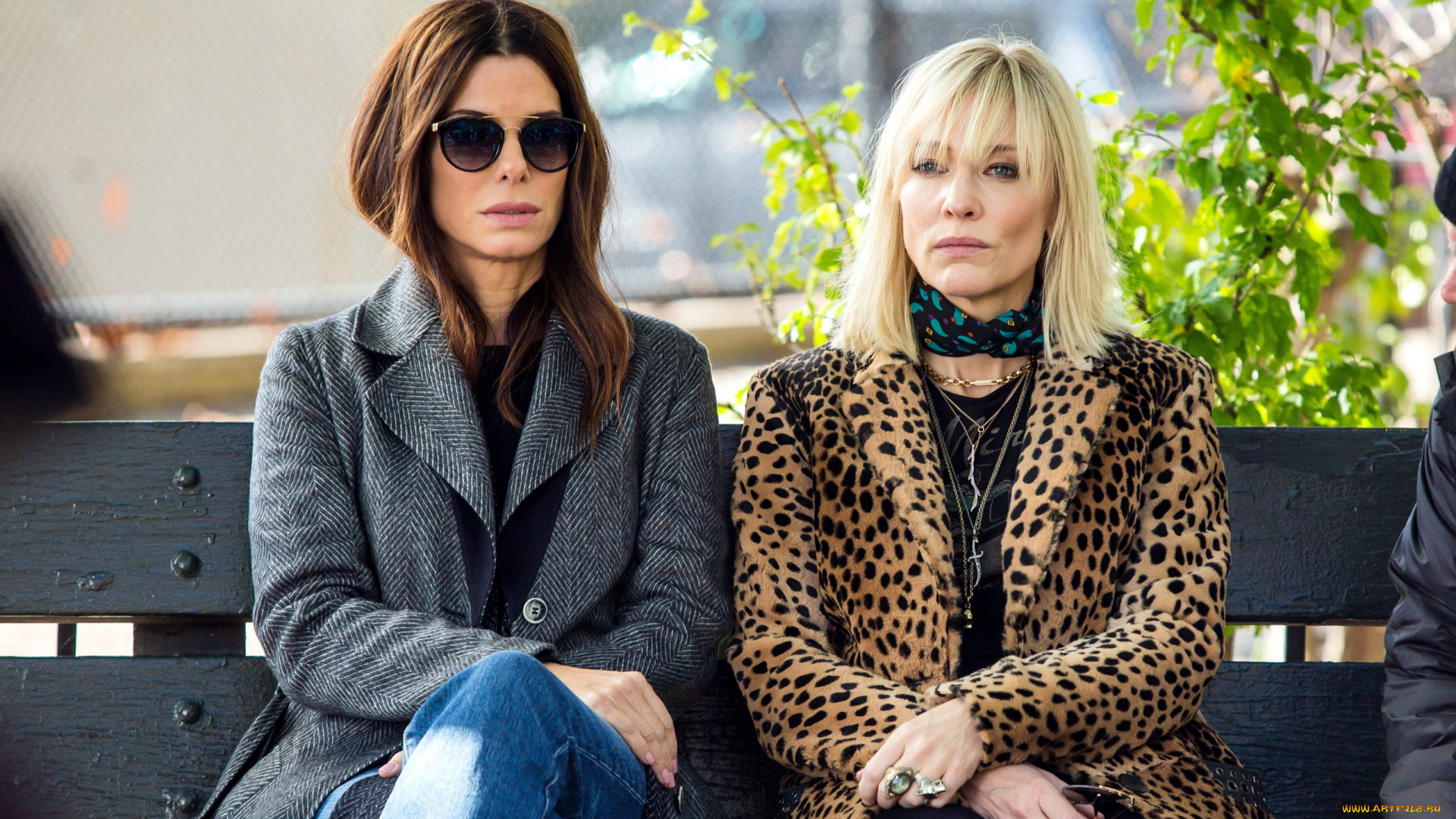 кино, фильмы, ocean`s, 8, cate, blanchett, sandra, bullock