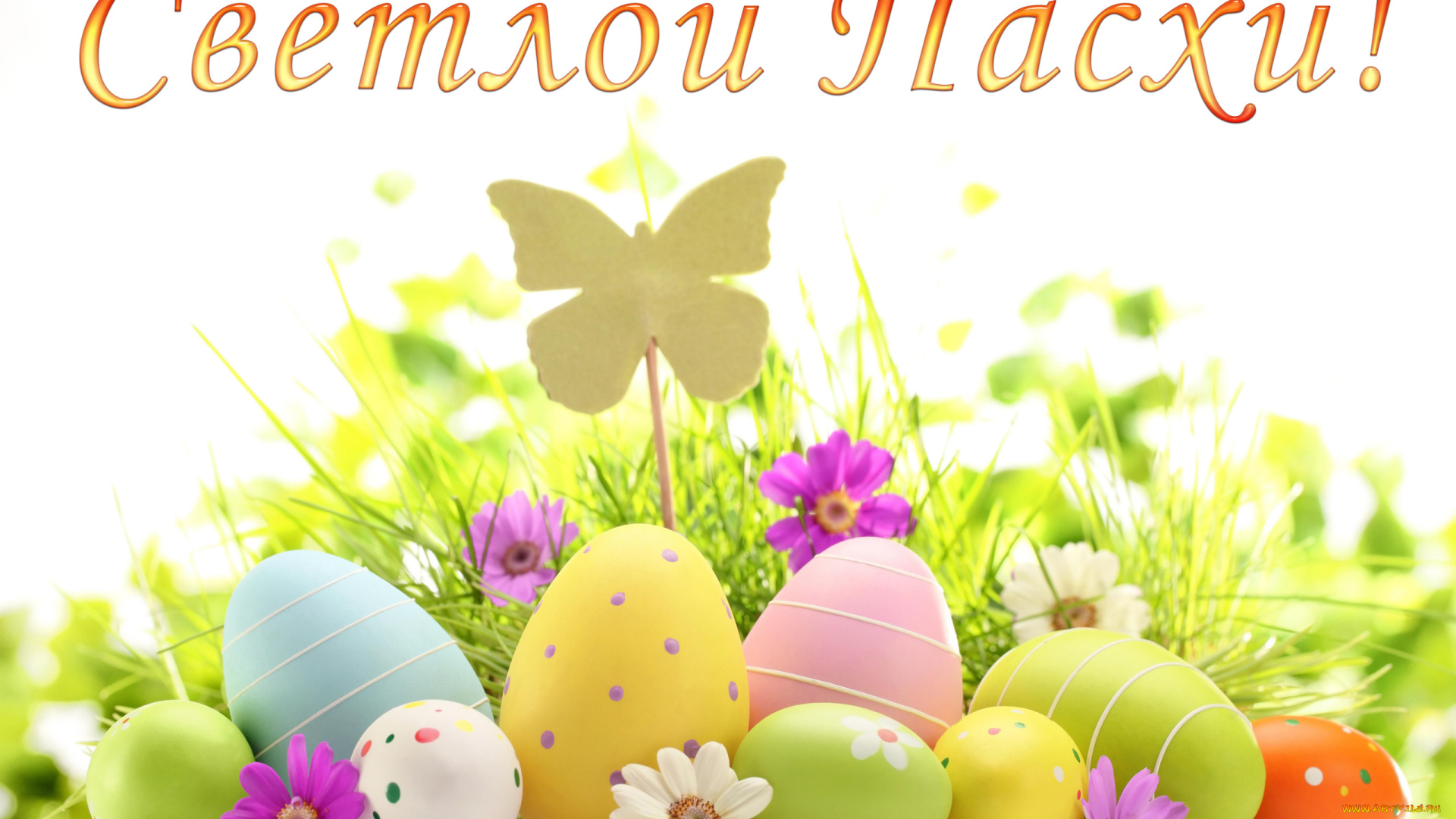 праздничные, пасха, фон, яйца