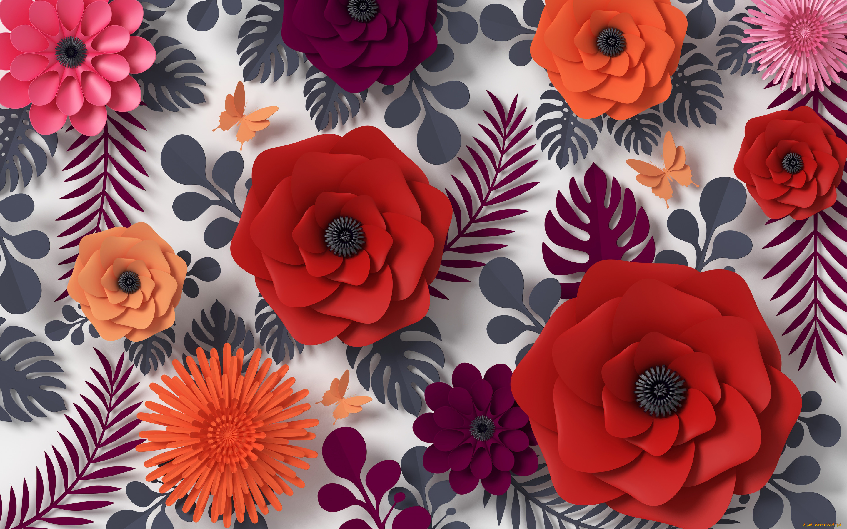 векторная, графика, цветы, , flowers, цветы