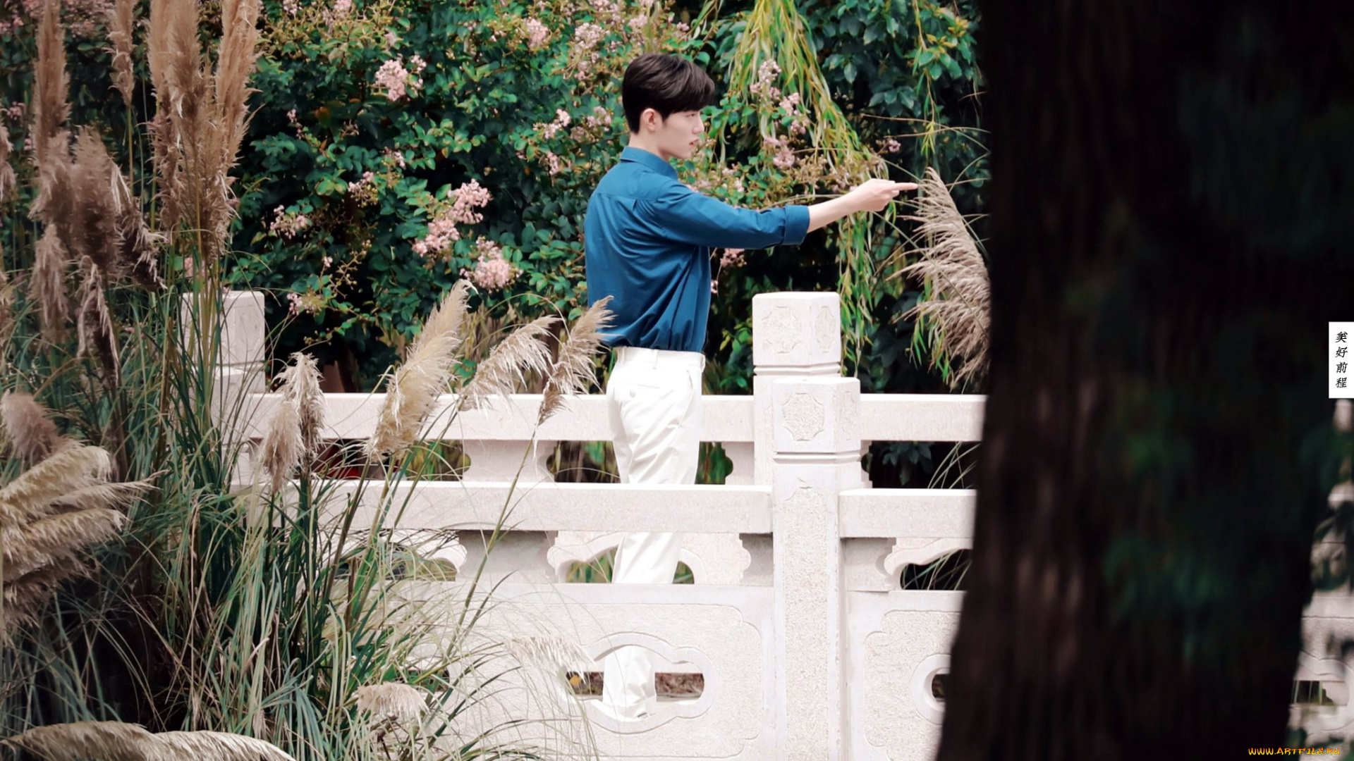 кино, фильмы, the, oath, of, love, гу, вэй, сад, мостик, жест