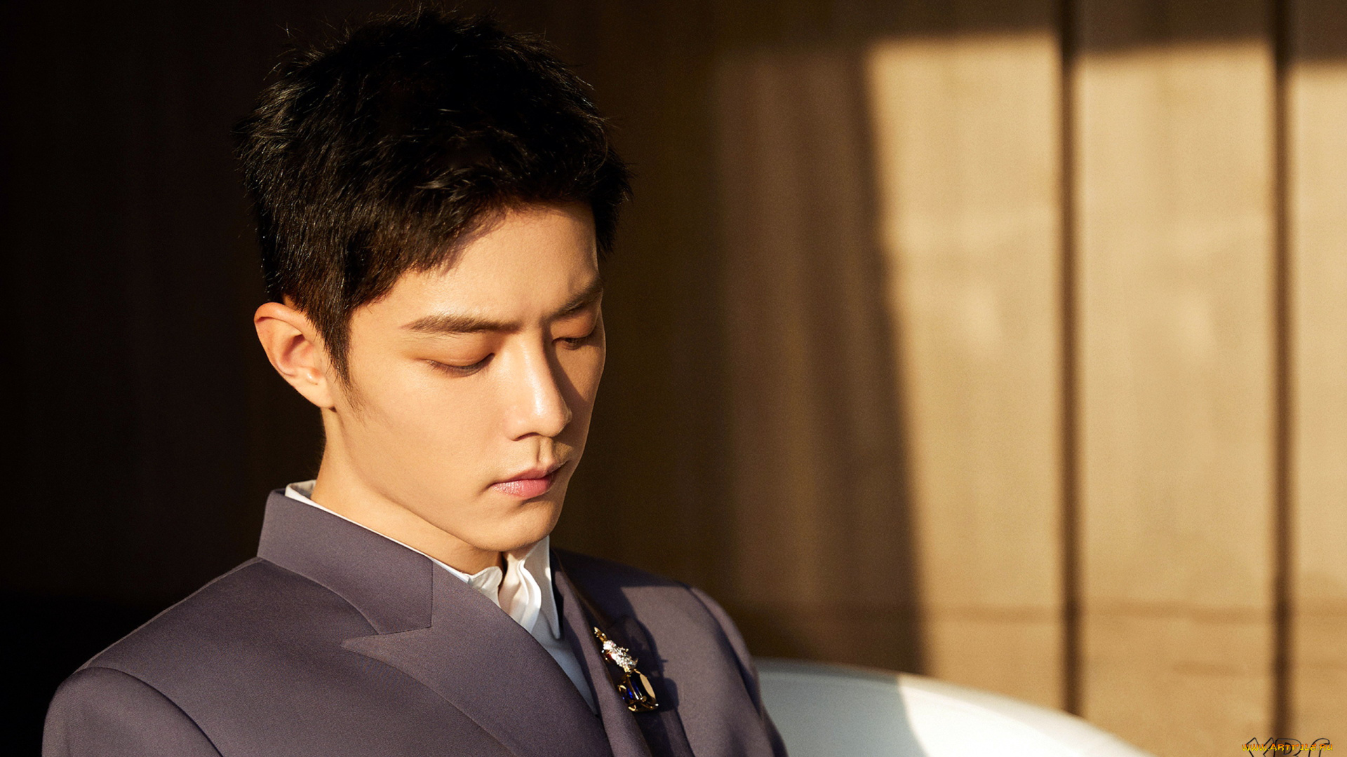 мужчины, xiao, zhan, актер, лицо, пиджак, брошь