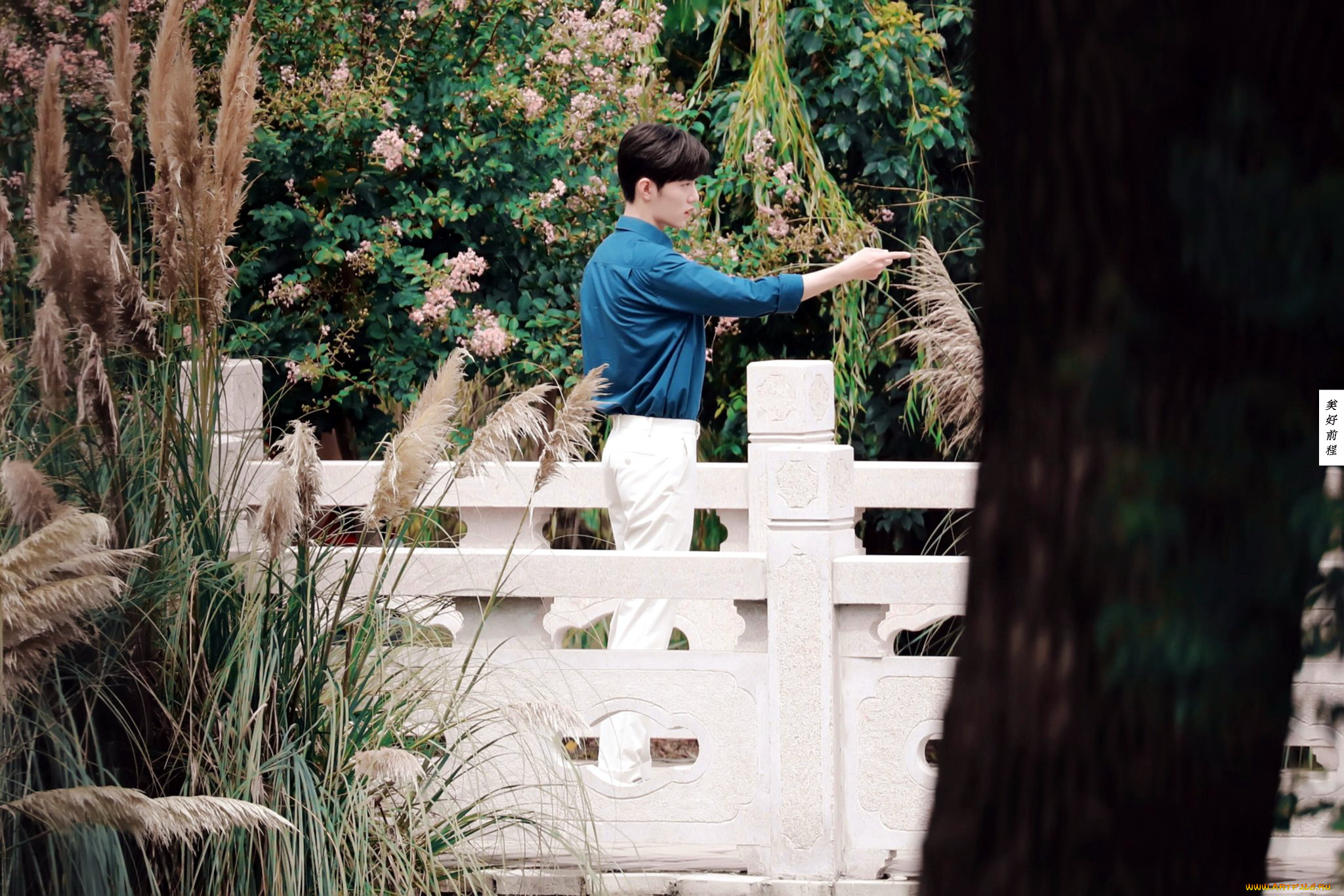 кино, фильмы, the, oath, of, love, гу, вэй, сад, мостик, жест