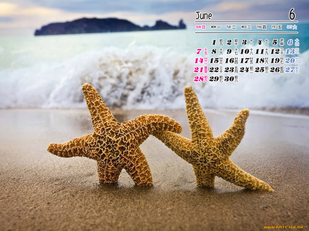 календари, природа