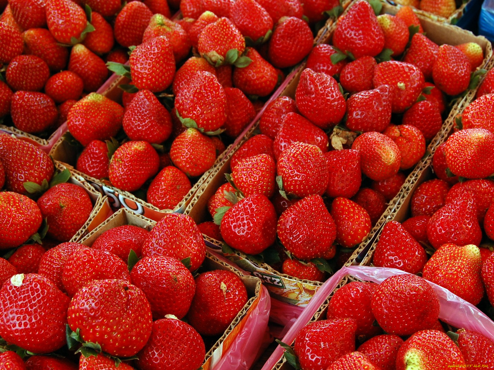 еда, клубника, земляника