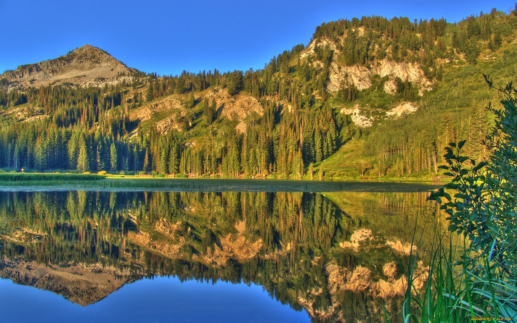 природа, реки, озера