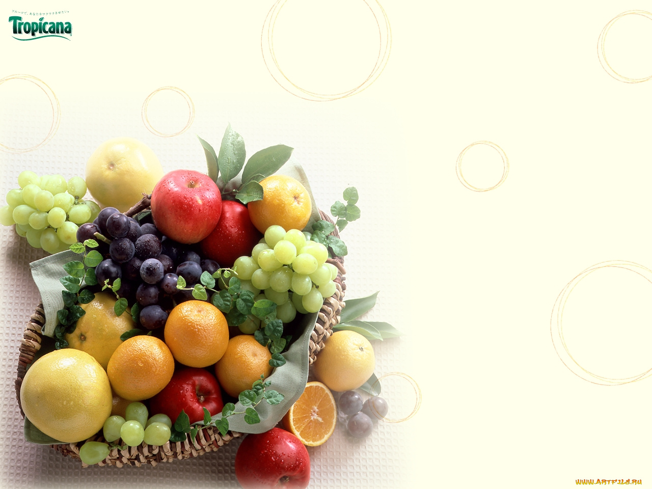 tropicana, бренды