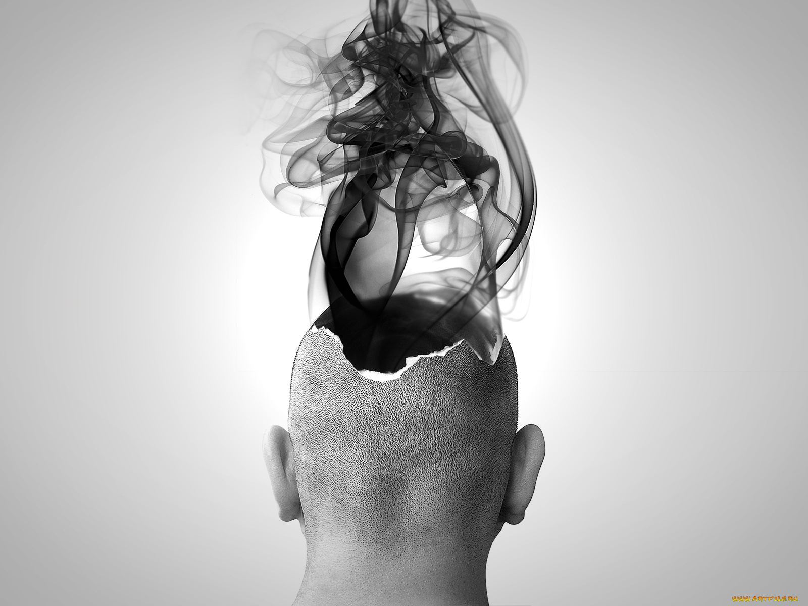 3д, графика, другое